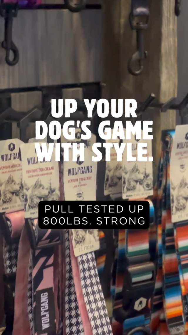 thumbnail video image 2 of Wolfgang Dog Training Collar for Small Large Nylon Buckles Adjustable Dog Collars Dog Accessories for Training & Walking NightOwl Print, 5/8 Inch x 8-12 Inch, 2 of 7