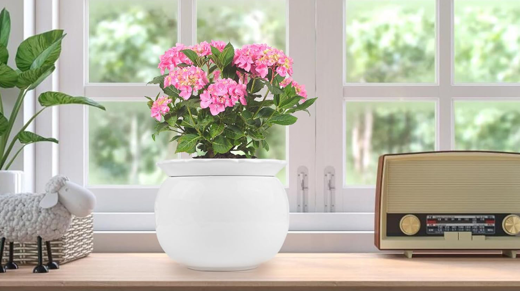 thumbnail video image 2 of EFISPSS White Ceramic Orchid Pots with Tropical Palm Leaf Carving, 5+6 Inch Set of 2, Slotted Planter with Drainage Holes and Saucers, Boho Indoor Flower Pot for Healthy Root, 2 of 6