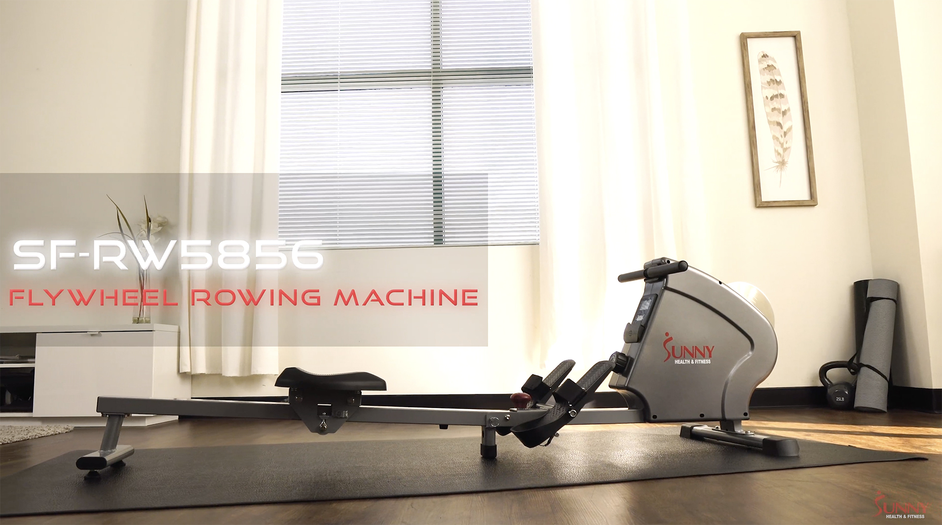 Free Shipping! Sunny Health & Fitness Magnetic Rowing Machine Rower ...