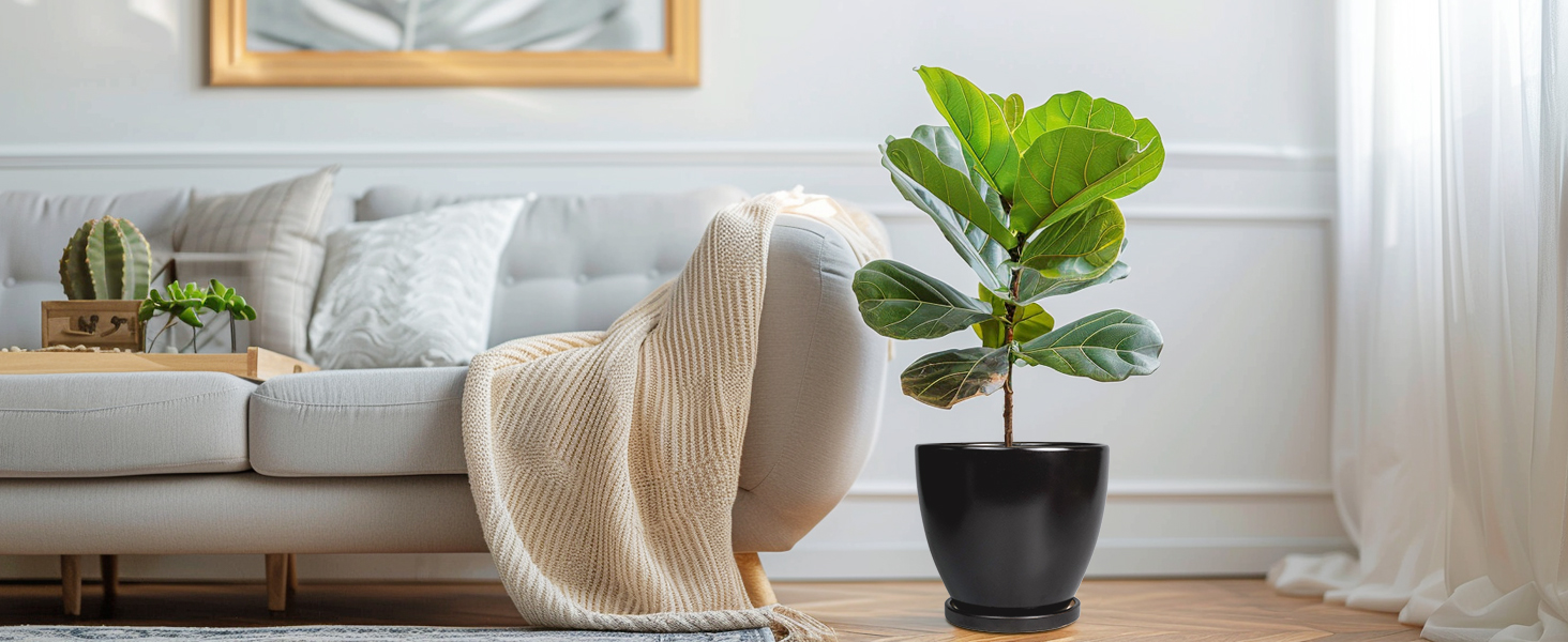 thumbnail video image 2 of 6 inch Ceramic Planter Pot with Saucer | Modern Decorative Outdoor Plant Pot for  Indoor Plants & Cactus,Matte Black, 2 of 7