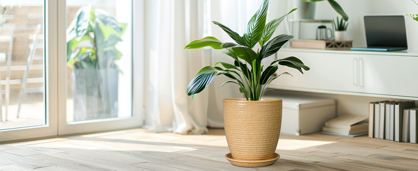 thumbnail video image 2 of 10 inch Round Indoor Planter,Ribbed Ceramic Plant Pot with Drip Tray Drainage,Modern Decor Pot for Indoor Trees & Large Plants, Glossy Yellow, 2 of 8