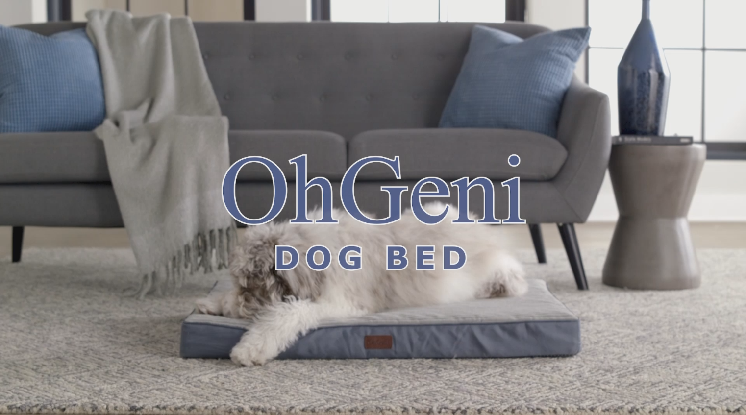 thumbnail video image 2 of OhGeni Orthopedic Extra Large Dog Bed, Deluxe Pet Bed for Crates, Waterproof and Washable, 25D Egg Crate Foam Pad, 47" x 29", Black, 2 of 8