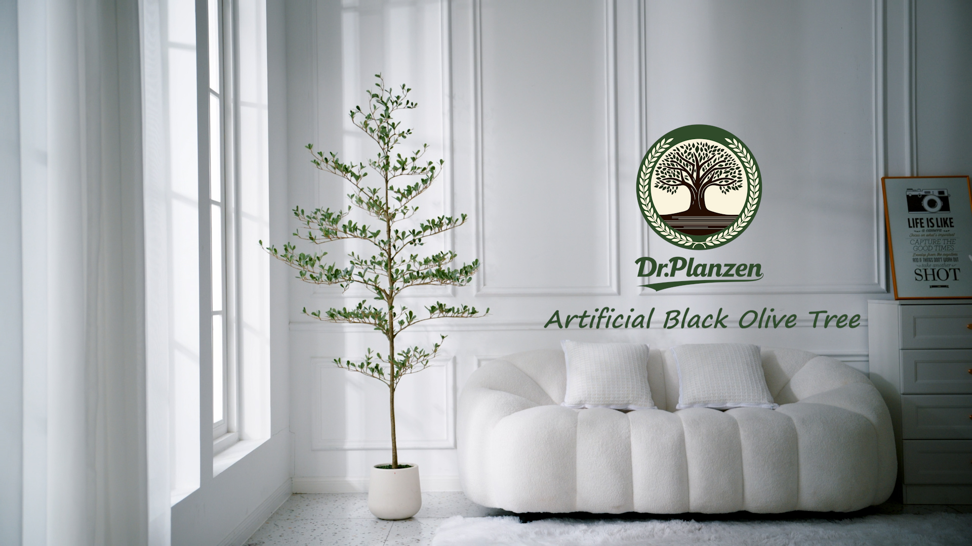 thumbnail video image 2 of DR.Planzen 6FT Artificial Black Olive Tree with UV-Resistant Silk Leaves & White Planter, Tall Artificial Plant for Home Office Indoor Outdoor Decor, 2 of 6