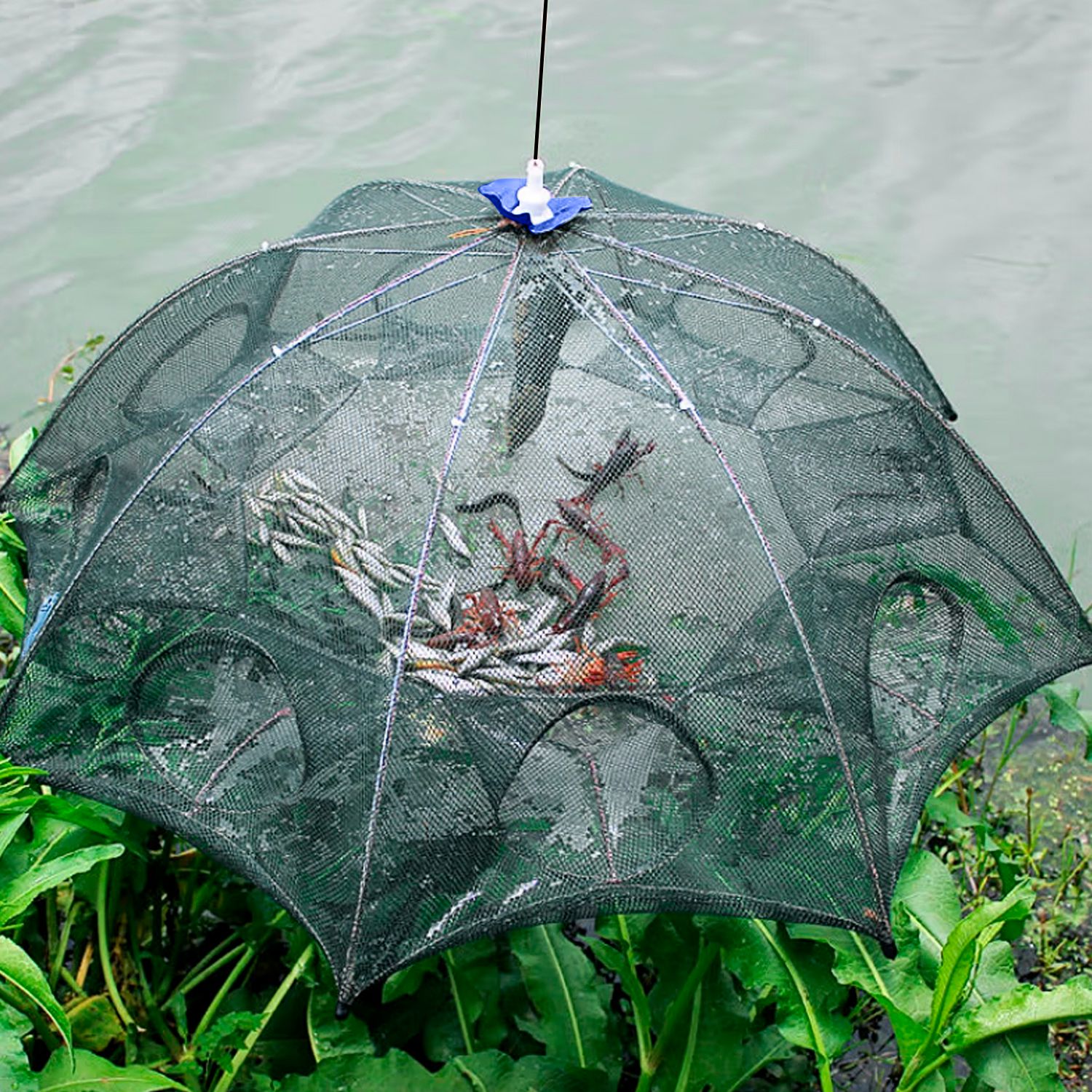 thumbnail video image 2 of 2 Pack Foldable Bait Trap Fishing Net 8 Hole Portable Minnow Bait Net Trap with Nylon Mesh Steel Frame for Catching Live Bait Fish Crawfish Shrimp, 2 of 10