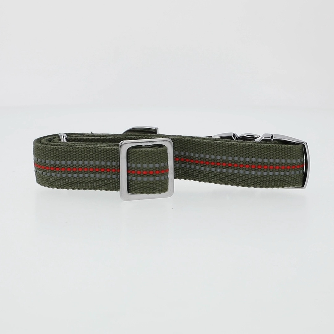 Vibrant Life Reflective Dog Collar, Olive Green, Large, Metal