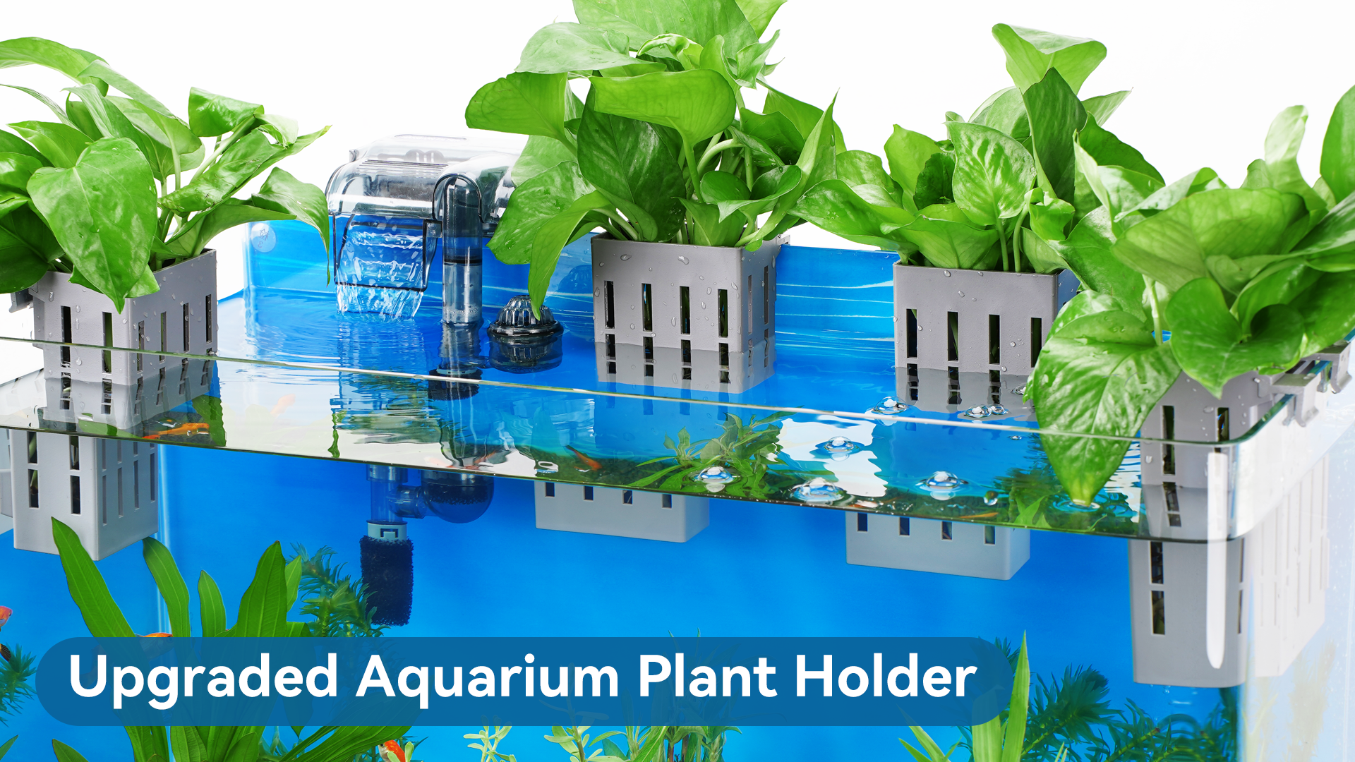 thumbnail video image 2 of Upgraded Aquarium Plant Holder with Hooks and Suction Cups for Fish Tank Aquaponic Plant Cultivation and Aquascape Decorations (Gray), 2 of 10