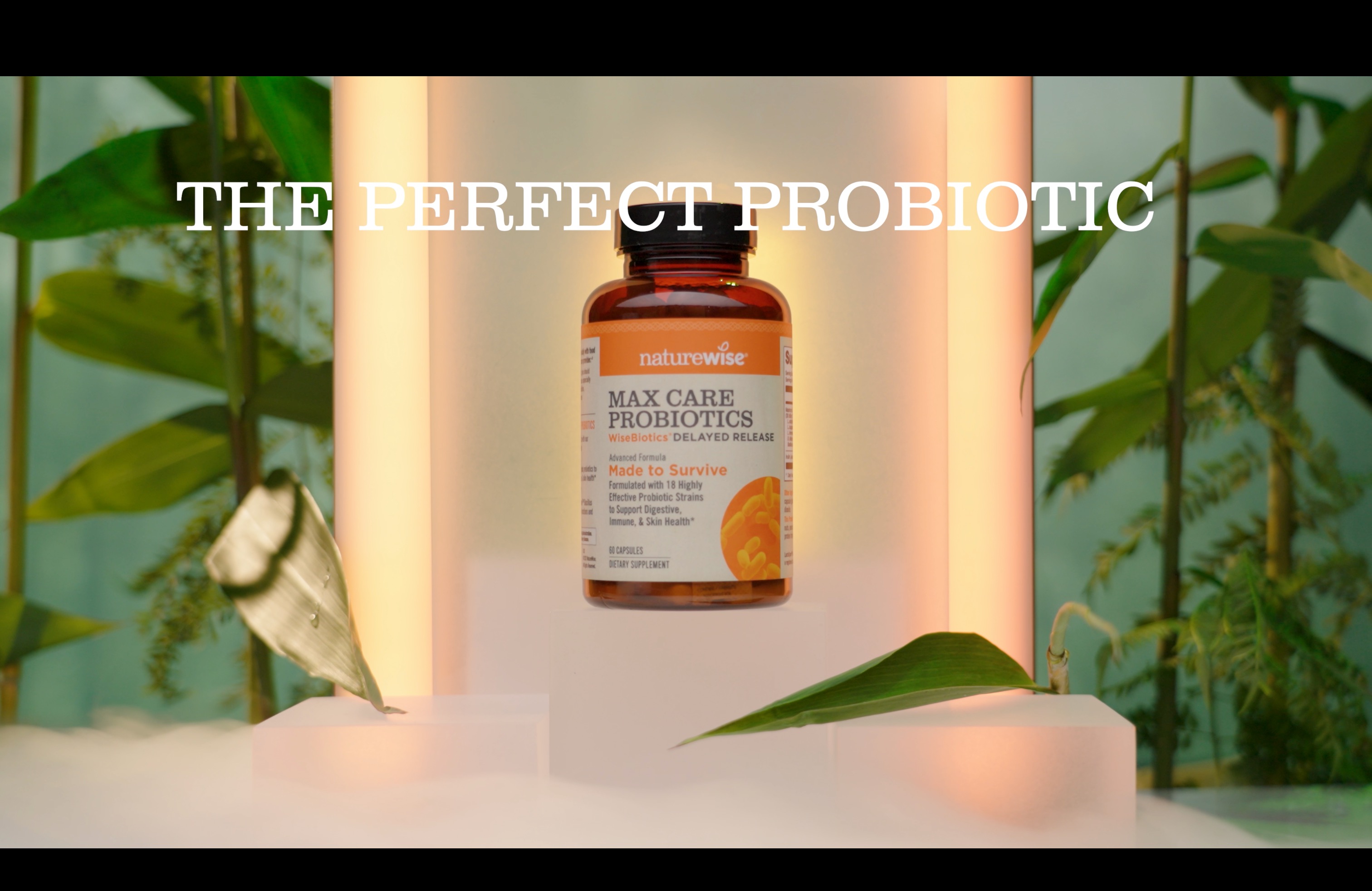 thumbnail video image 2 of NatureWise Max Probiotics 30 Billion CFU + Organic Prebiotic - 60 Capsules[2-Month Supply], 2 of 13