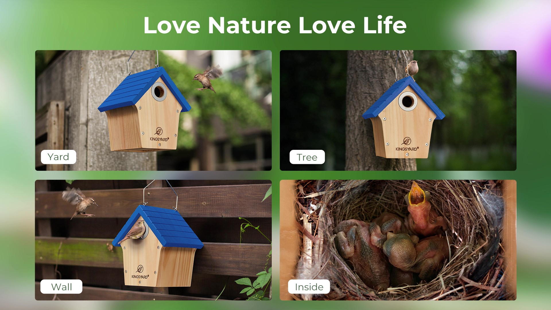 thumbnail video image 2 of Kingsyard Wooden Bird House with Predator Guard, Wren Bird Nesting for Outdoor, Green, 2 of 7