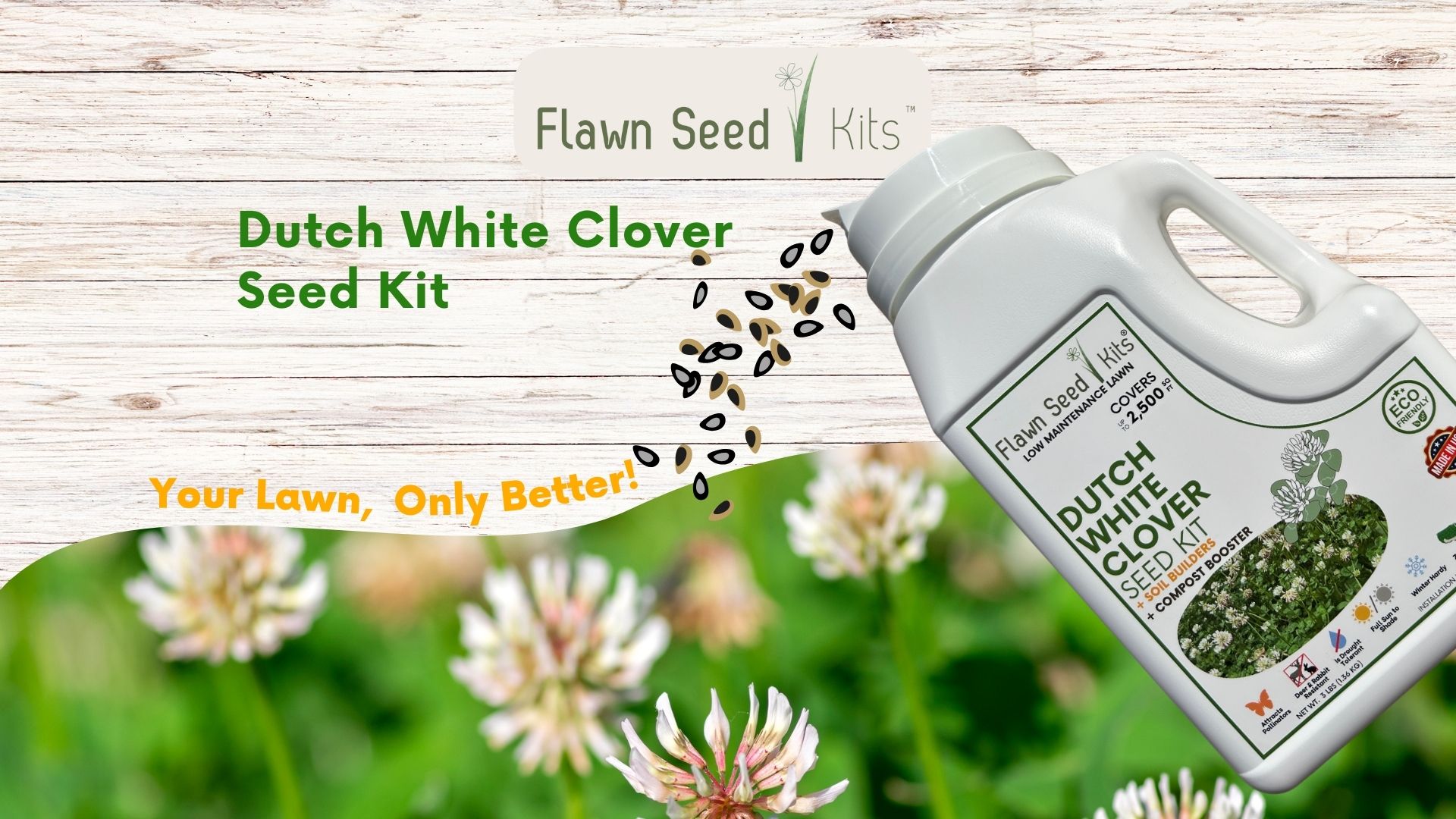 thumbnail video image 2 of Flawn Seed Kits 1000 Sqft Dutch White Clover Plant Seeds, Low Maintenance Flowering Lawn, 2 of 9
