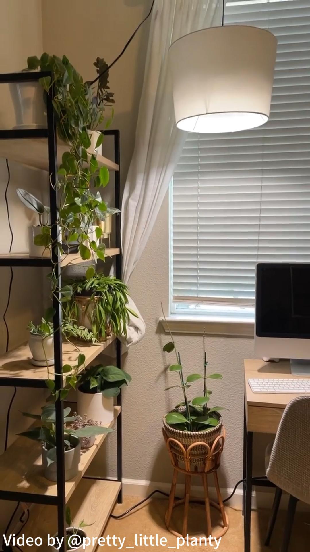 thumbnail video image 2 of SANSI 24W LED Grow Light Bulb, BR30 Full Spectrum Plant Light Lamp, E26 Base (300W Equivalent), 2 of 11