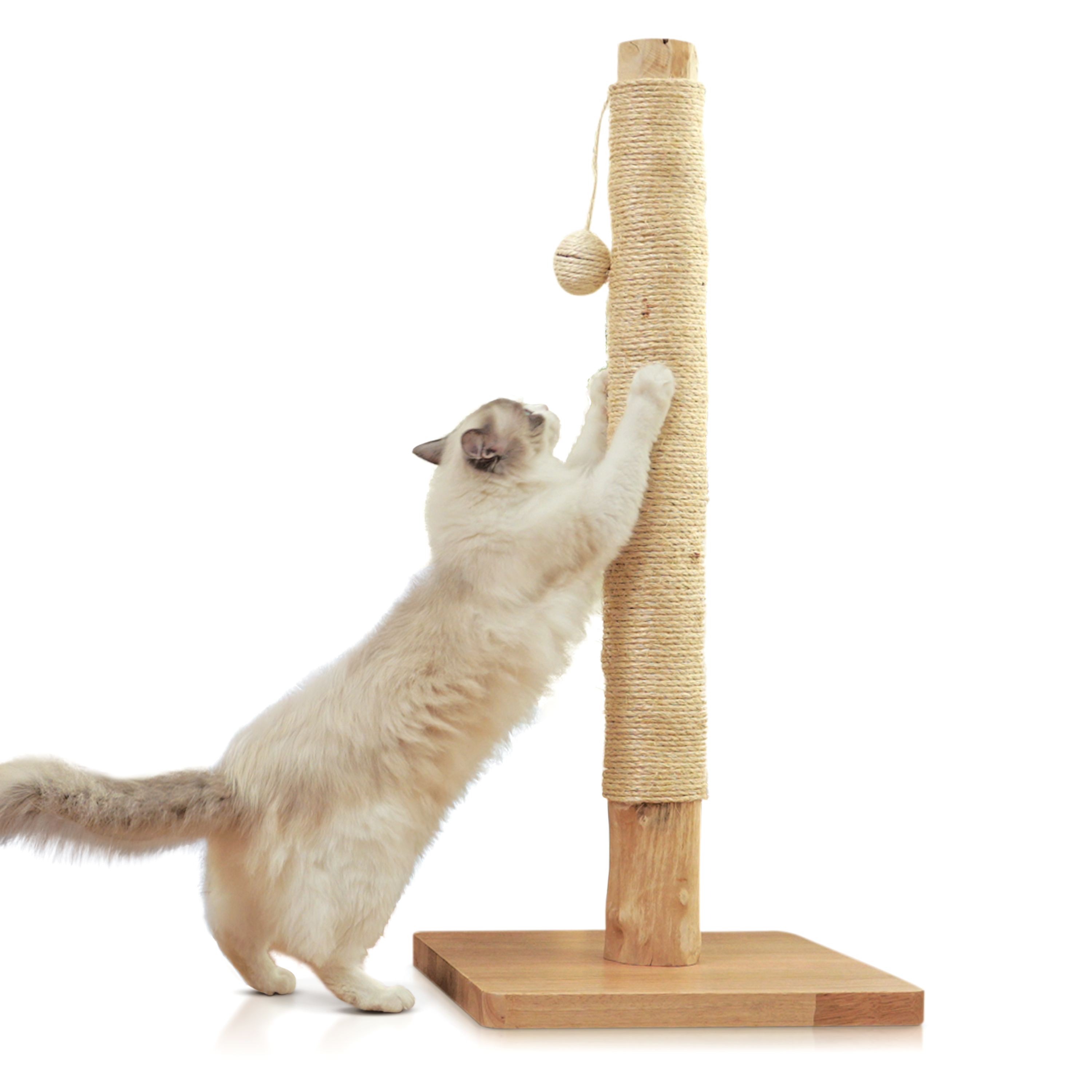 thumbnail video image 2 of Premium 35" Cat Scratching Post – Natural Pear Wood, Sisal Rope, Rubber Wood Base with Oak Skin, Ideal for Large Cats, Free Rope Replacement, 2 of 7