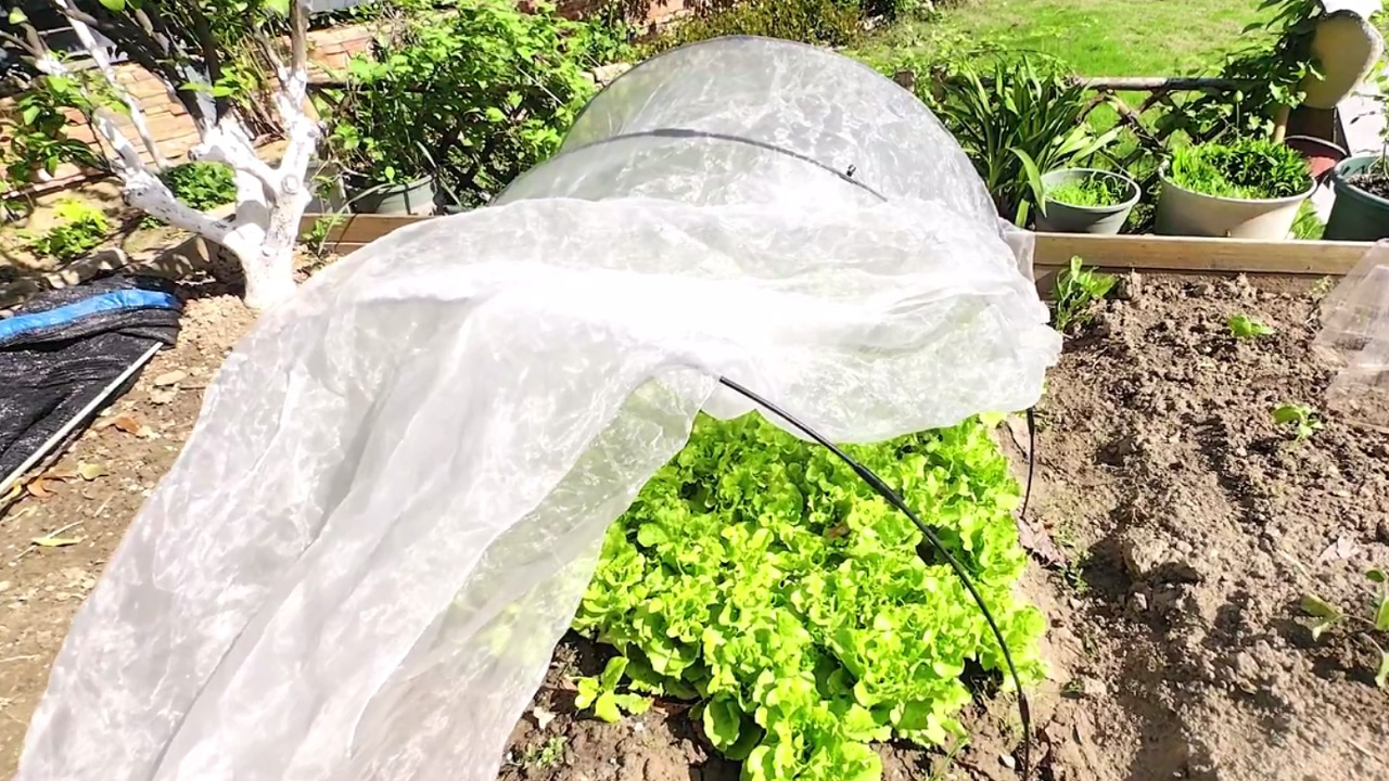 thumbnail video image 2 of 36PCS Garden Hoops Grow Tunnel Kit - 8FT Rust-Free Fiberglass Arches With Plastics Coating (6 Sets) for Raised Beds, Plant Support, Shade Cloth Net, Insect Netting & Row Cover Protection, 2 of 5