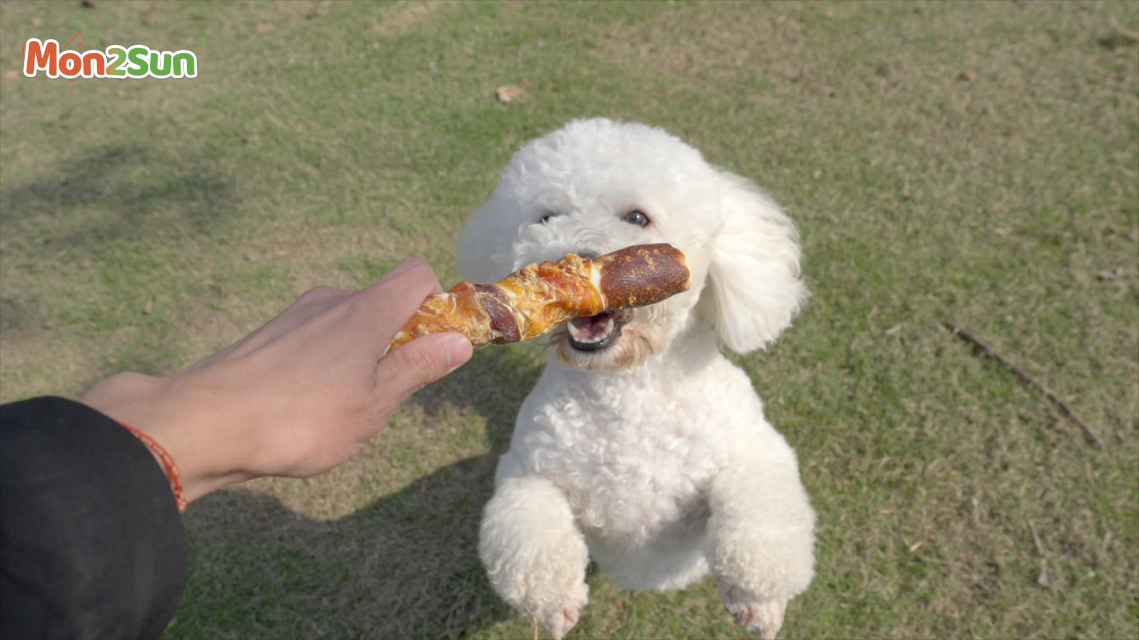 thumbnail video image 2 of MON2SUN Chicken Liver, Duck & Chicken Wrapped Rawhide Small Dog Treats, 17.6 oz (10 Count), 6 Inch, 2 of 11