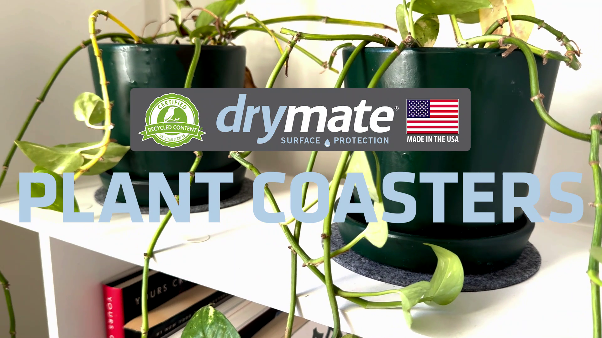 thumbnail video image 2 of Drymate Plant Coasters, (3 Pack, Sizes: 6”, 8”, 10” Round), 2 of 7