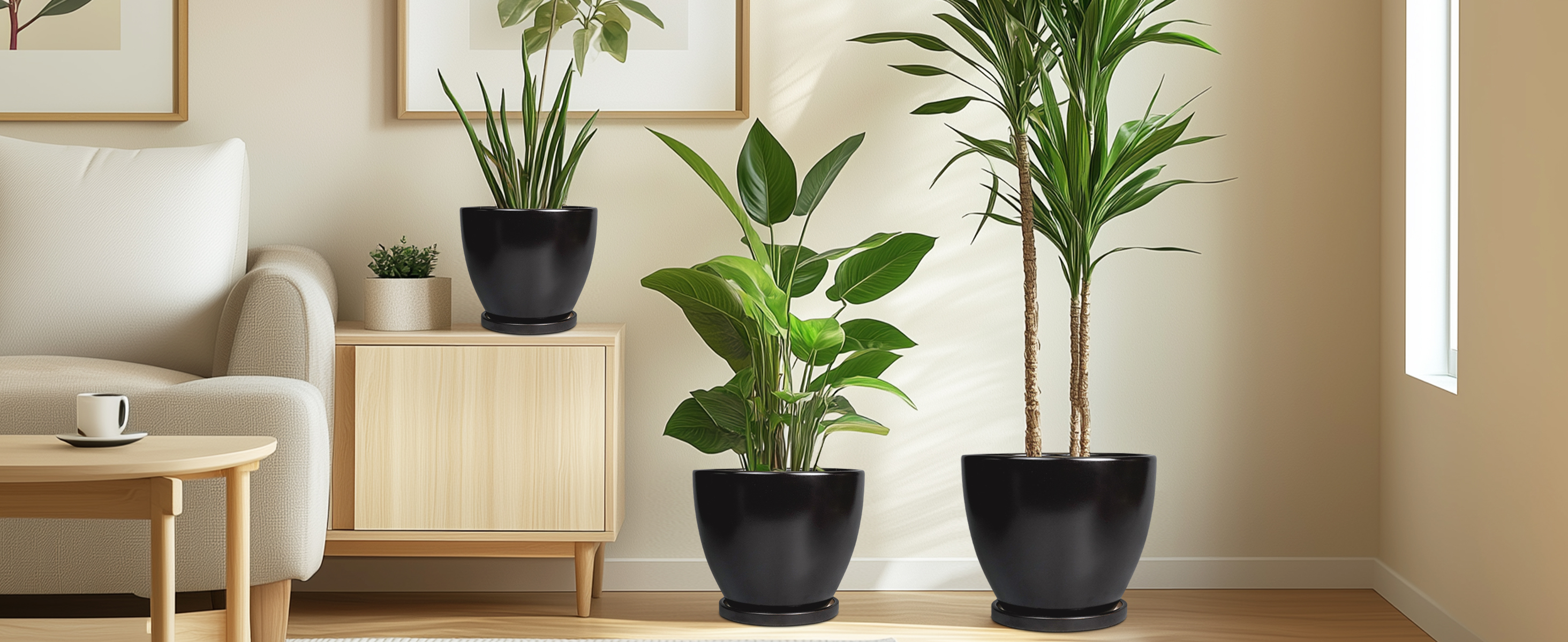 thumbnail video image 2 of Modern Pots for Plants,Set of 3 for Indoor Plants,6/8/10 inch Ceramic Planter with Drainage for Snake Plants & Flowers Living Room Decor Matte Black, 2 of 8