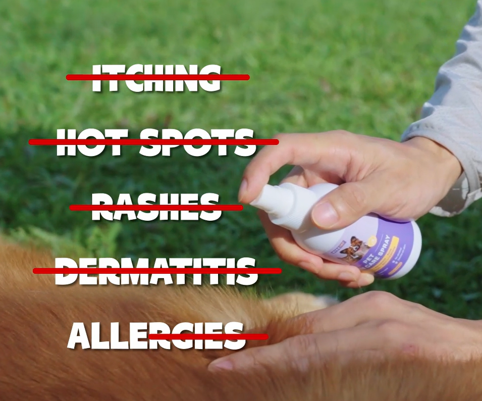 thumbnail video image 2 of HICC Pet Skin Care Spray for Dogs and Cats - 3.4 fl. oz. - Skin Hydration & Soothing, 2 of 10