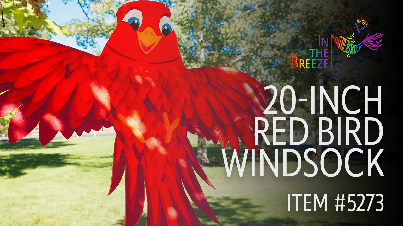 thumbnail video image 2 of In the Breeze 5273 — Red Bird Windsock — Colorful, Fully Printed, Unique Outdoor Bird Windsock, 2 of 6