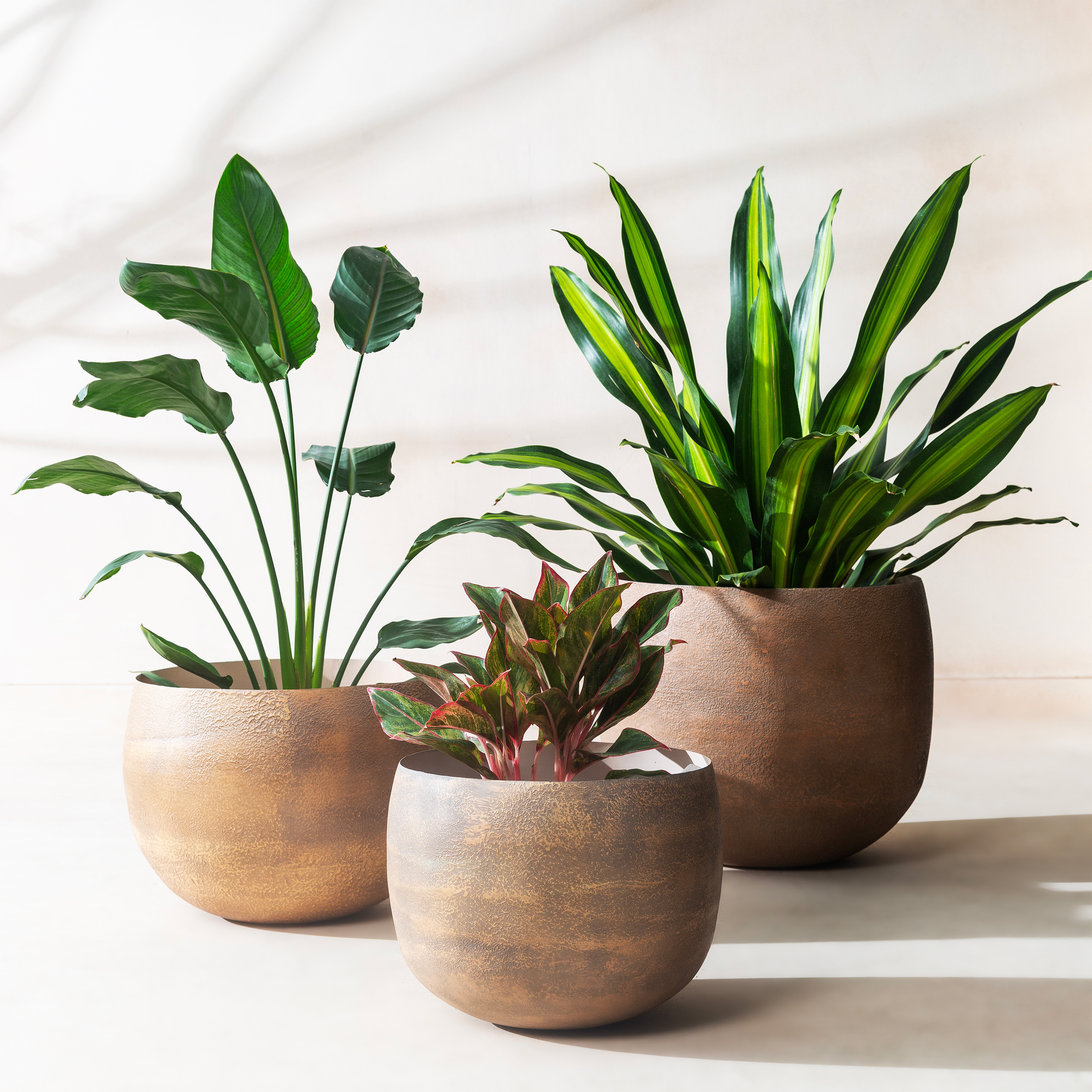 thumbnail video image 2 of Fab Habitat Eden Handmade Round Metal Planters in Midnight Finish with Drainage Holes, 2 of 9