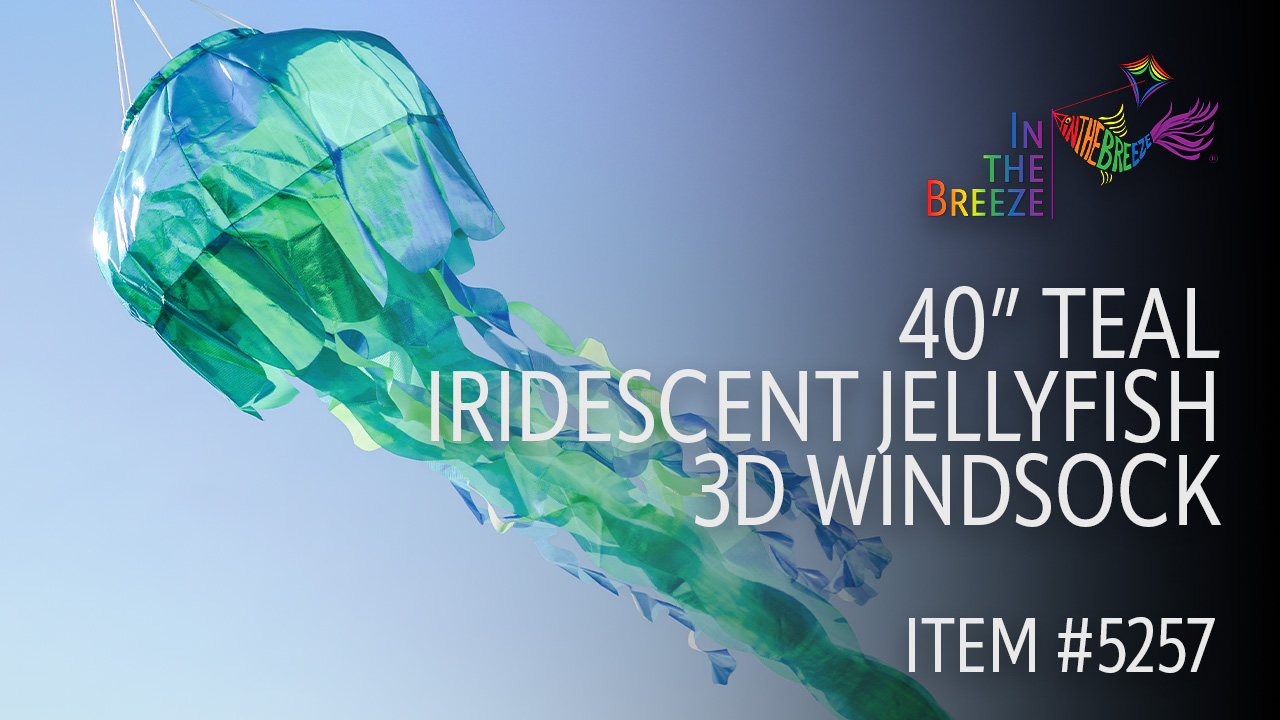 thumbnail video image 2 of In the Breeze 5257 — 40-inch Teal Iridescent Jellyfish 3D Windsock — Simmering Windsock with Inflatable Head and Free-Flowing Tentacles, 2 of 6