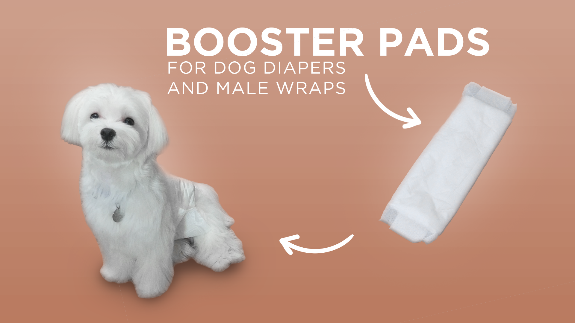 thumbnail video image 2 of 30ct Paw Inspired Dog Diaper Booster Pads, Flow Through Insert Layer to Add Absorbency to Dog Diapers and Male Wraps, Great for Heavy Incontinence and Overnight Use, 2 of 8