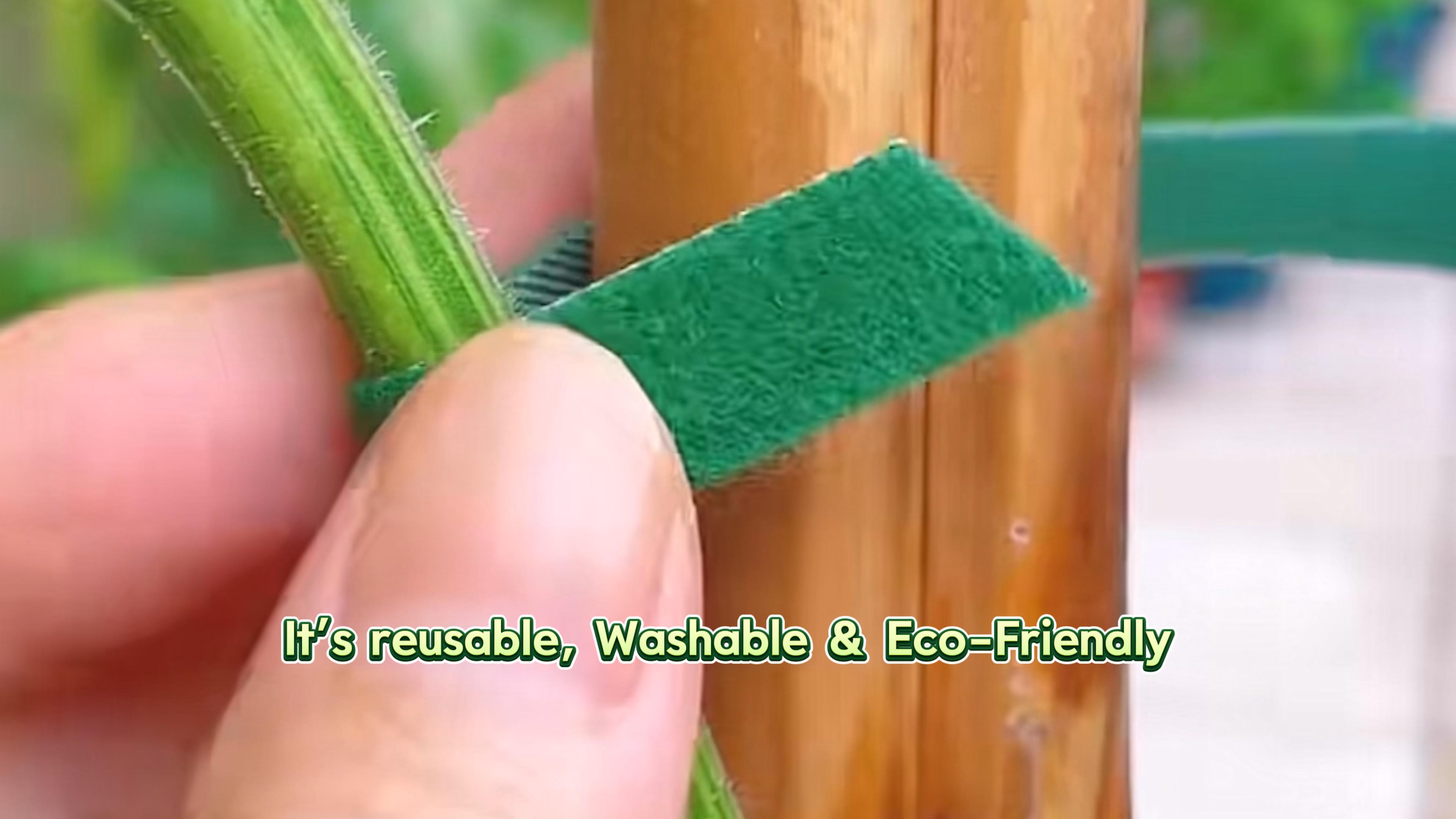 thumbnail video image 2 of 3-Rolls 19.6 ft Plant Tape Ties for Climbing Plants Supports, Reusable Green Garden Planting Velcro Hook and Loop Soft Plastic Twist Ties Outdoor, 2 of 7