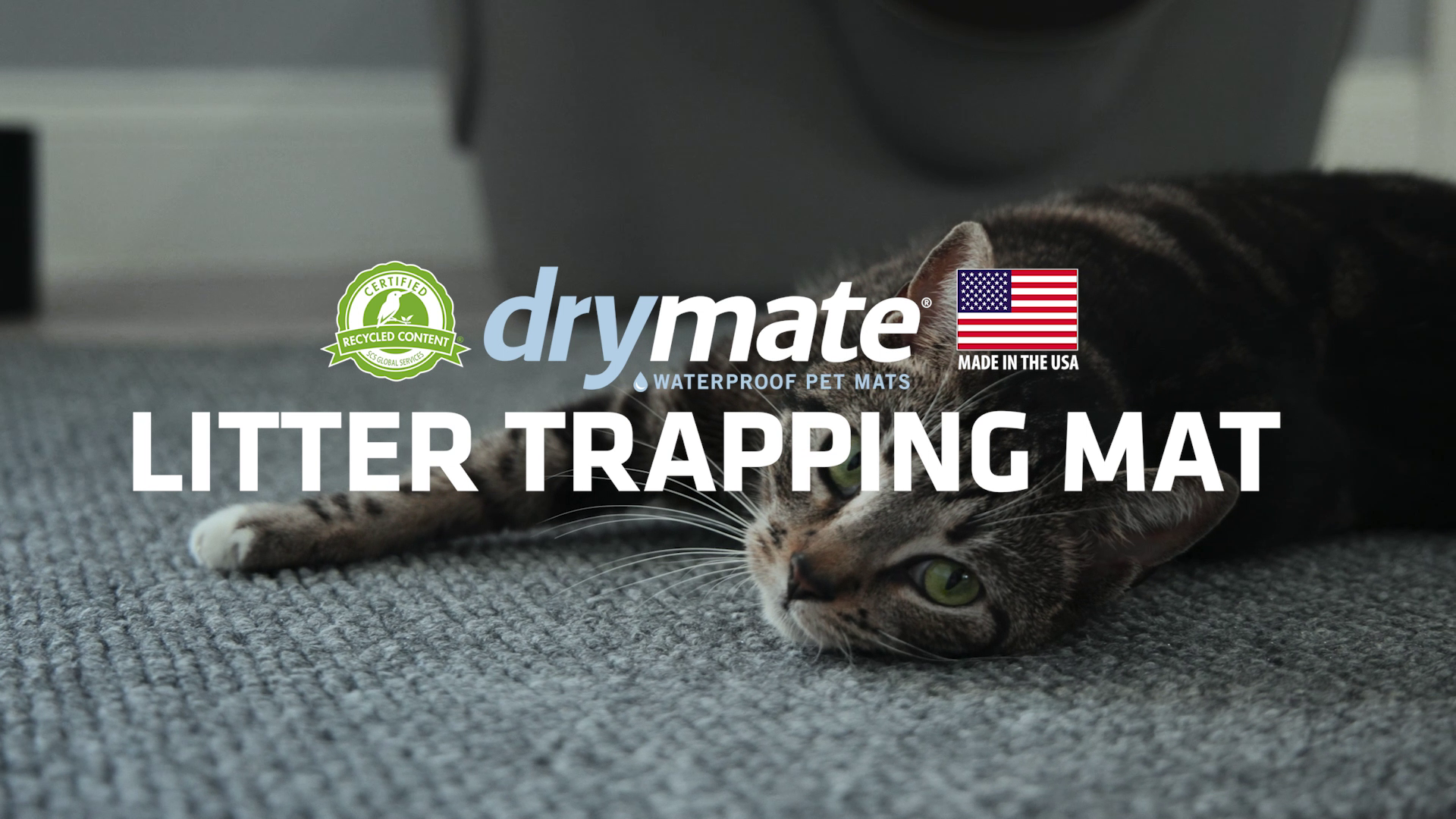 thumbnail video image 2 of Drymate Jumbo Cat Litter Trapping Mat, (Ridged Design), Traps Litter & Mess from Box, Soft on Kitty Paws -Absorbent/Waterproof/Urine-Proof- Machine Washable, Durable (36" x 47"), 2 of 9