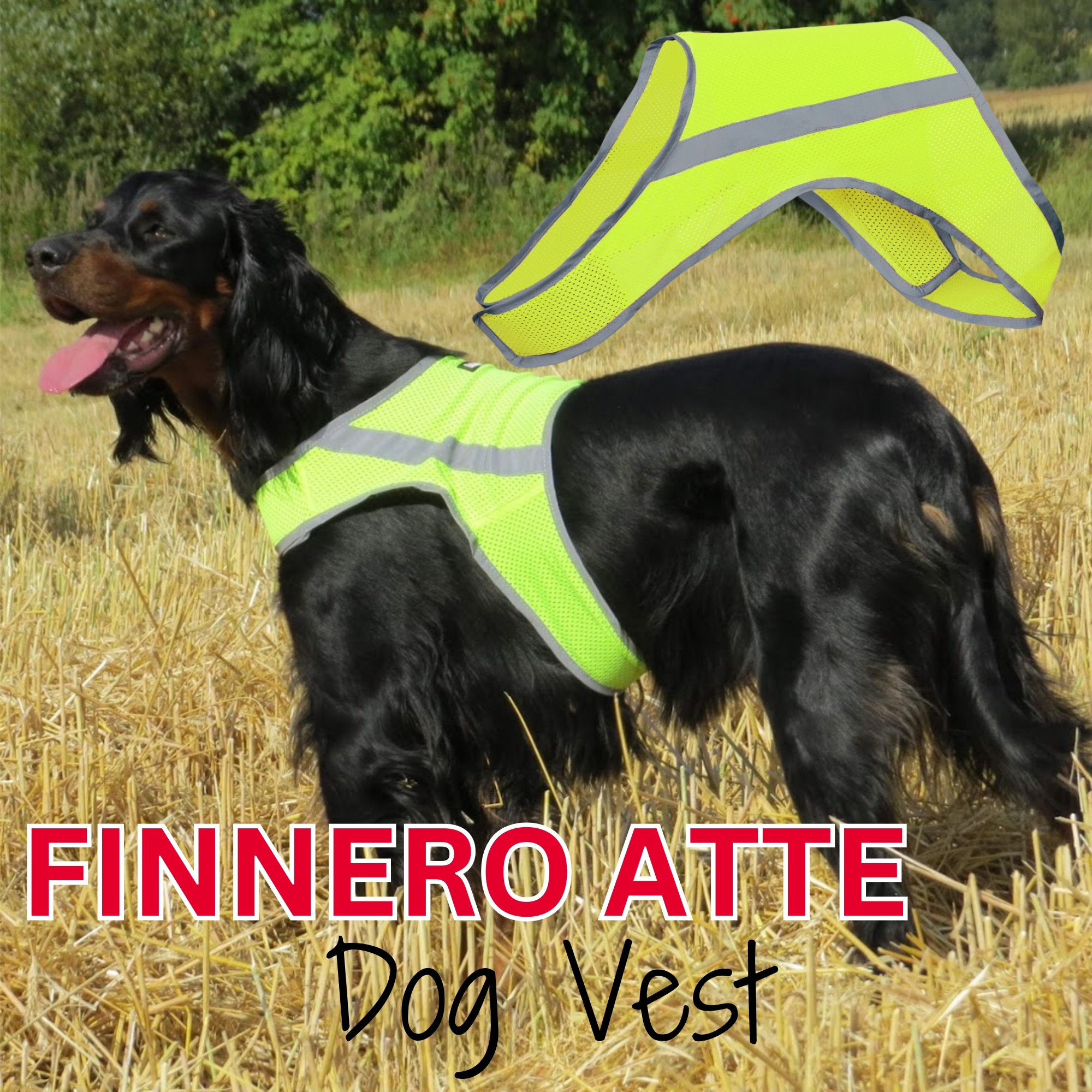 thumbnail video image 2 of FINNERO Atte Yellow Reflective Attention Dog Vest High Visibility Safety Jacket Night Walking (2XL), 2 of 11