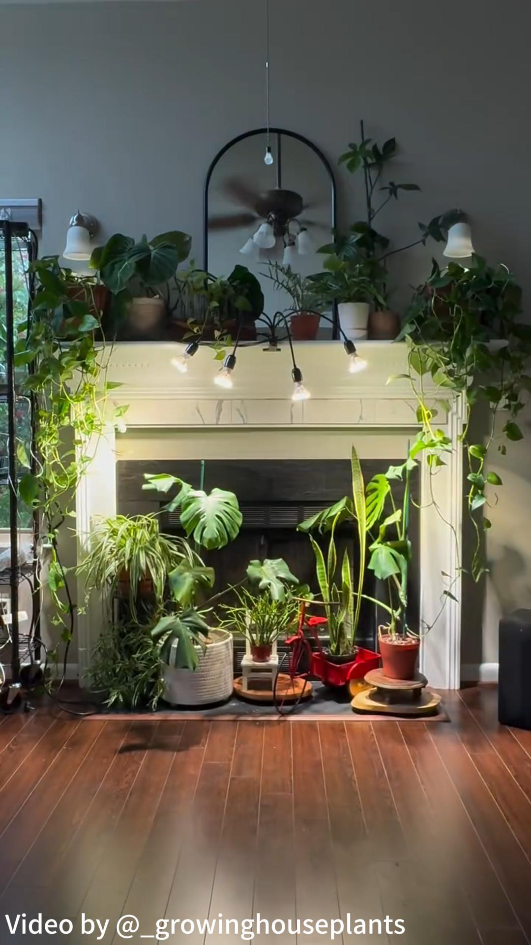 thumbnail video image 2 of SANSI 40W LED Grow Light Bulb, Full Spectrum Black Clip-on Plant Grow Light for Indoor Plant, 2 of 7