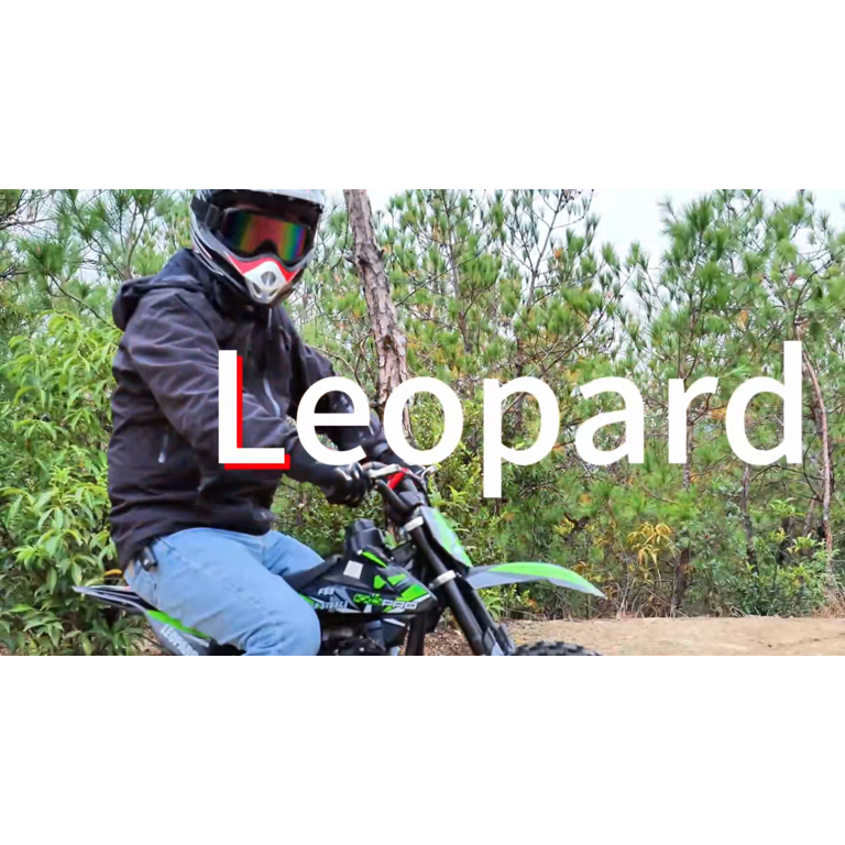 X-Pro, Dirt Bike, 40 Mini Gas Power 4 Stroke, 10