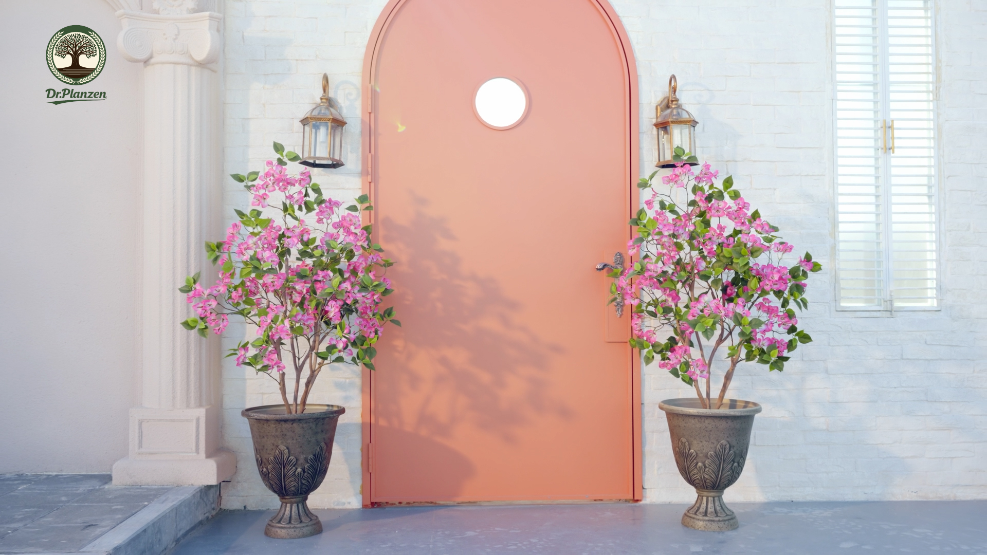 thumbnail video image 2 of DR.Planzen Artificial Bougainvillea Tree 4FT UV Resistant Faux Bougainvillea Plant Fake Tree Pink Bougainvillea Tree - 390 Leaves 273 Flowers Artificial Plant for Indoor Outdoor Decor, 2 of 10