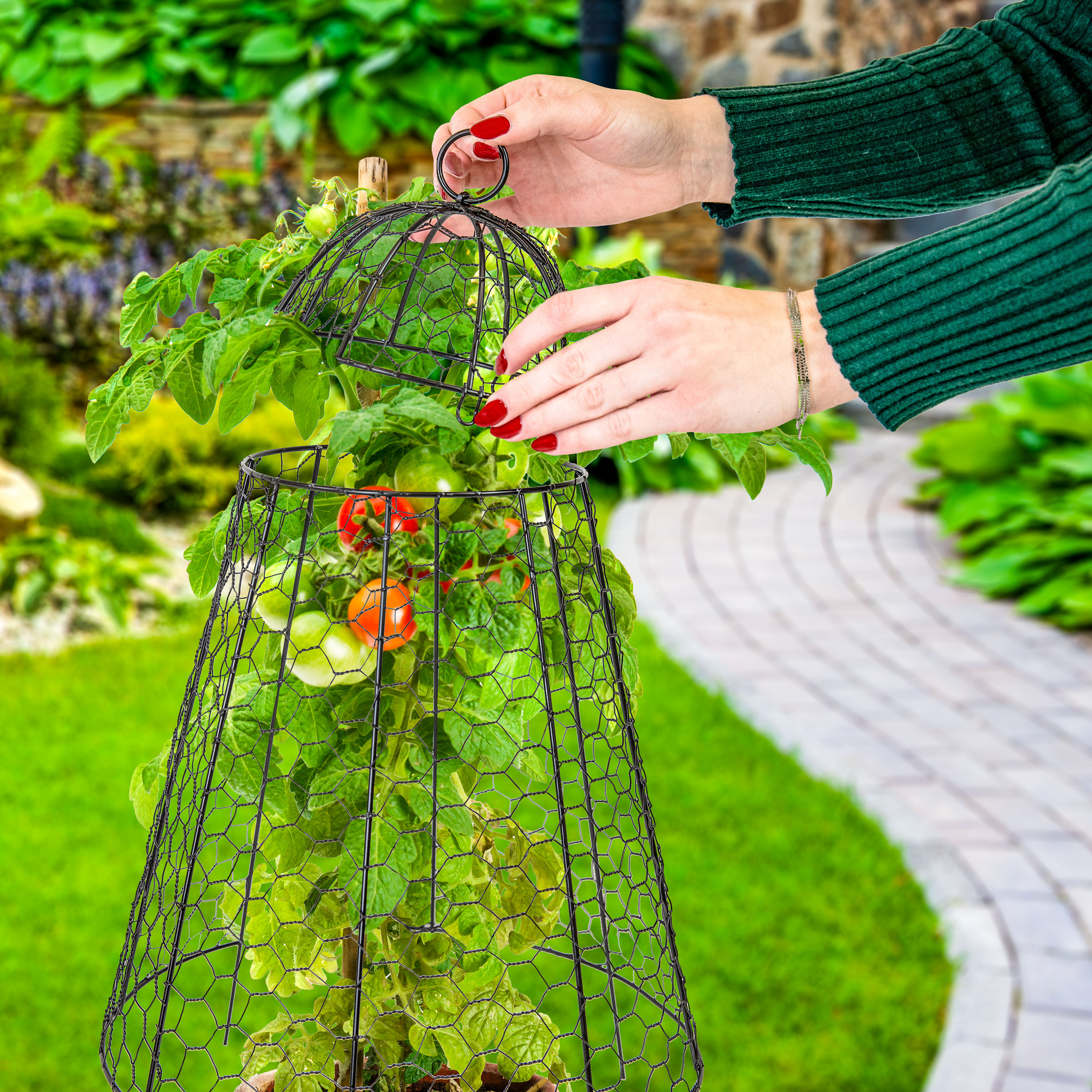 thumbnail video image 2 of Sunnydaze 12" x 12" Iron Mesh Plant Protector with Removable Top 6-Pack, 2 of 18