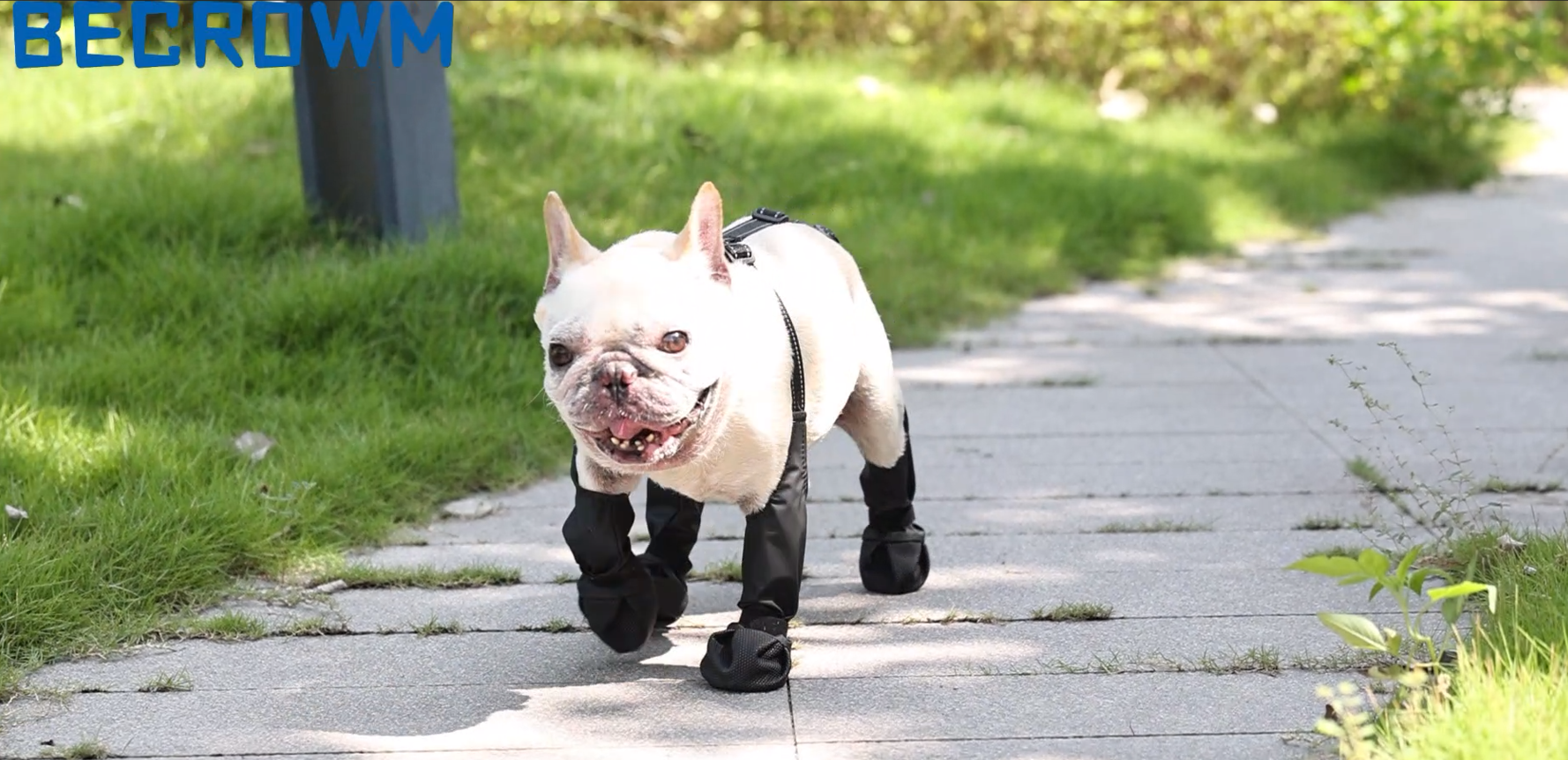 thumbnail video image 2 of BECROWM Waterproof Dog Boots for Small/Medium Dogs -Dog Paw Protectors Dog Suspender Boots Anti-Slip Pet Shoes for Outdoor Walking, Reflective Stay-On,Dirt-Proof Comfortable Booties  (Black-Large), 2 of 10