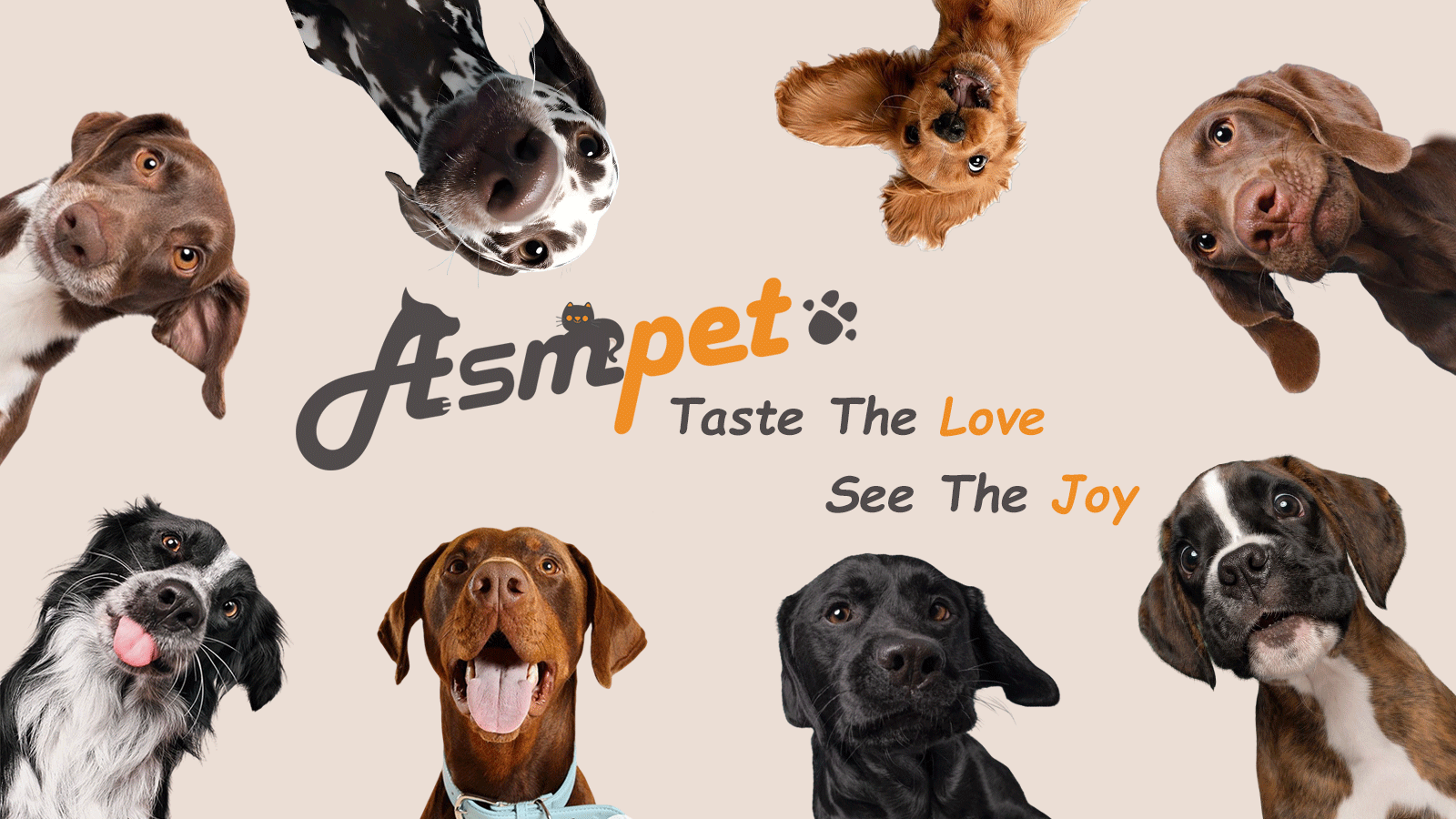 thumbnail video image 2 of ASMPET Chicken Wrapped Beef Cartilage Dog Treats, Long-Lasting Chewy Dog Soft Bone for Small, Medium & Large Dogs (10.6oz, No Rawhide), 2 of 8