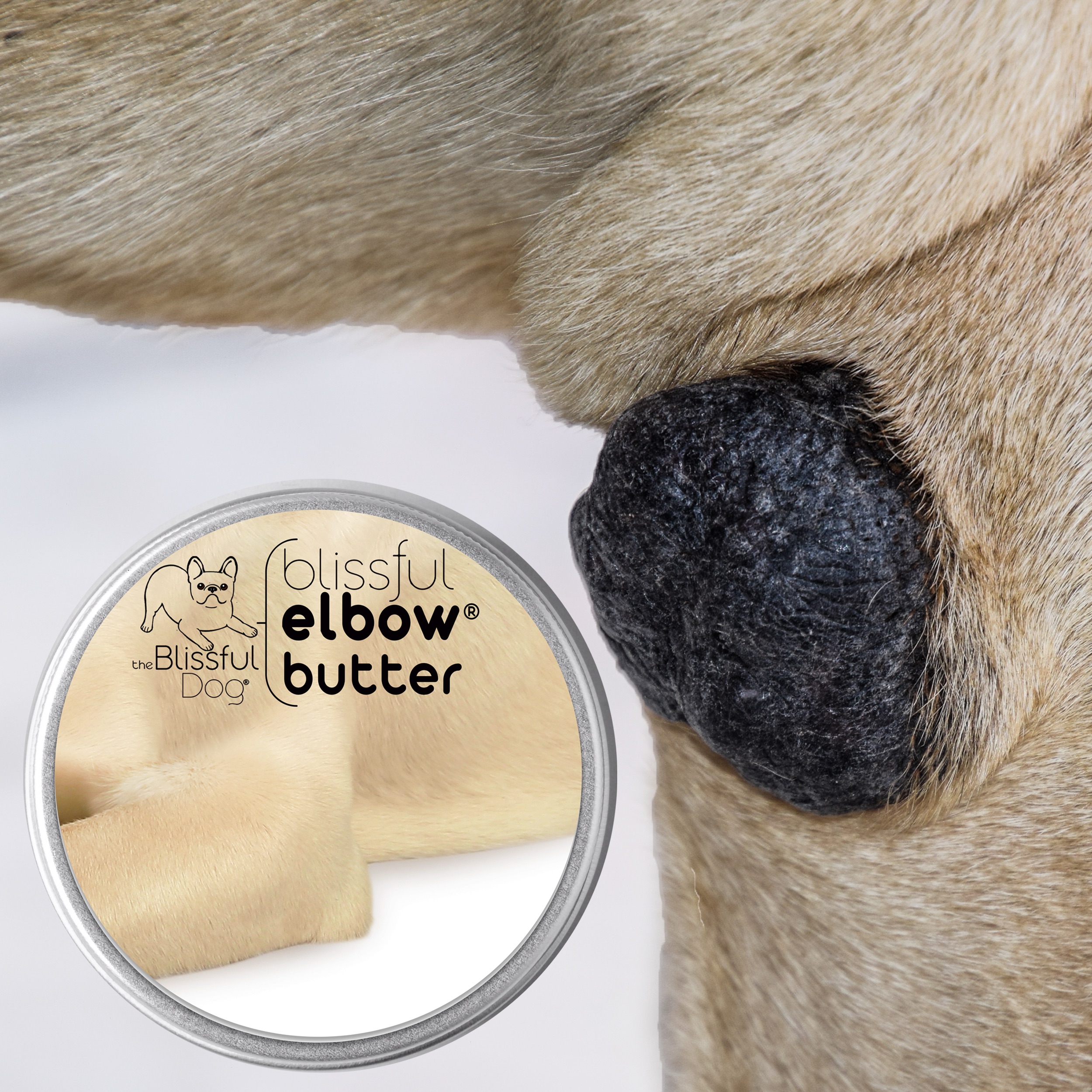 thumbnail video image 2 of The Blissful Dog Blissful Elbow Butter Softens, Moisturizes Dry, Cracked Dog Elbows 0.50-Ounce Tube, 2 of 7