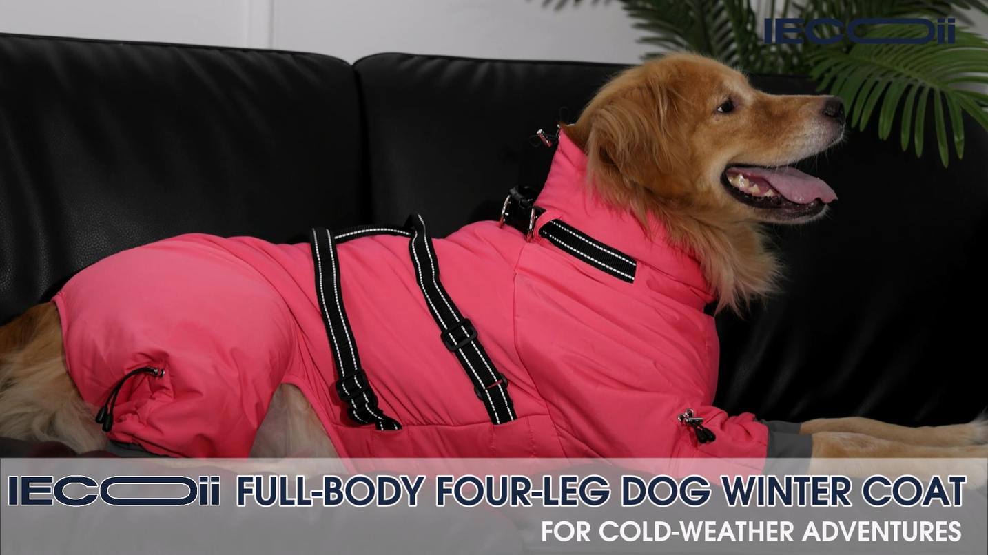 thumbnail video image 2 of IECOii Full body Dog Winter Coat with Harness Built in Warm Fleece Dog Jacket with Handle Reflective Windproof Snowsuit for Medium Dogs,Pink,XL, 2 of 9
