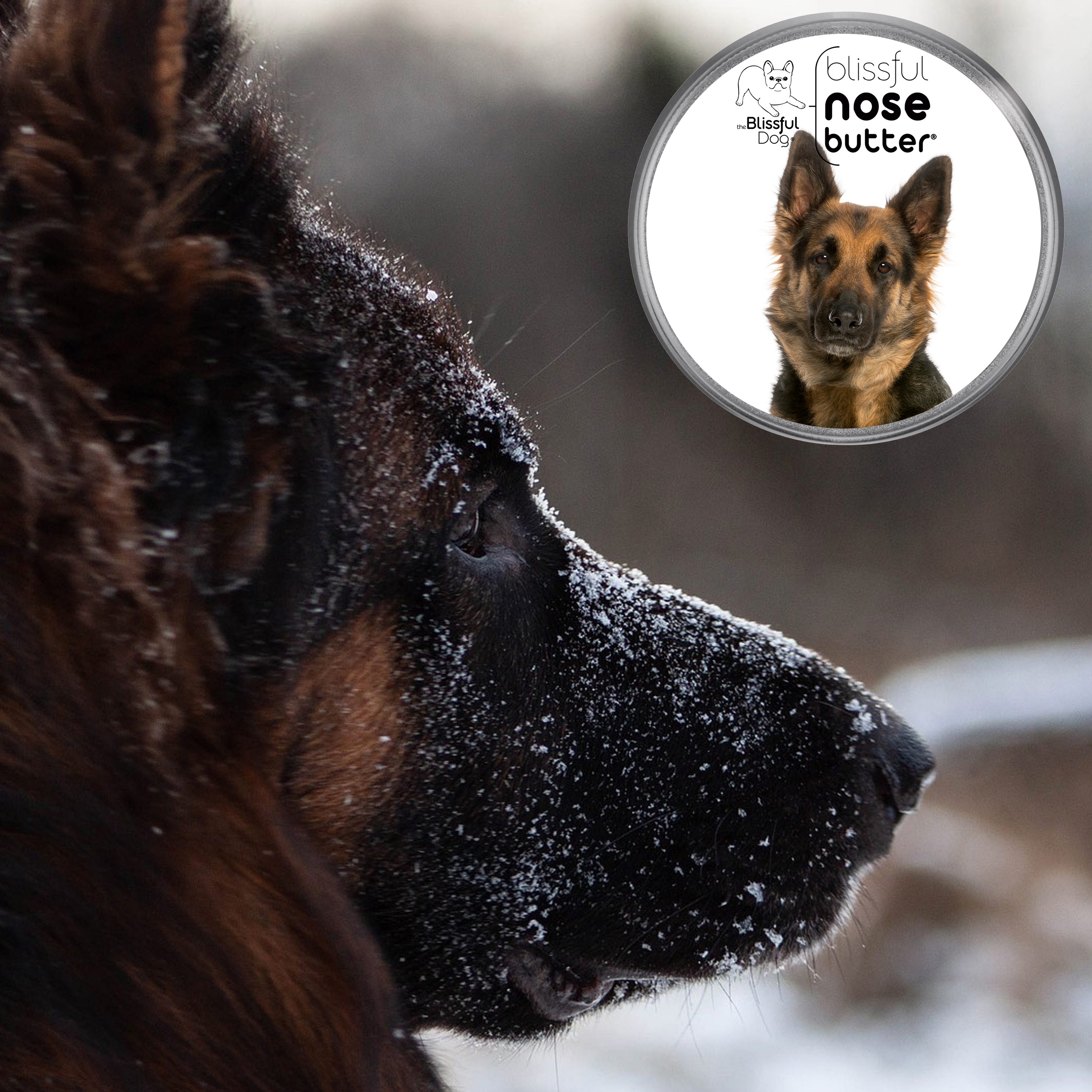 thumbnail video image 2 of The Blissful Dog® Nose Butter® I Softens, Moisturizes & Conditions Dry, Cracked & Crusty Dog Noses I The Original Nose Butter® I All Natural I Veterinarian Recommended I 0.50-Ounce Tube, 2 of 9