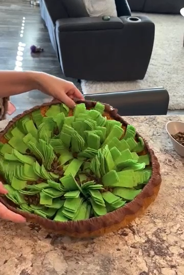 thumbnail video image 2 of Pet Snuffle Mat for Dogs, Interactive Feed Game for Boredom, Encourages Natural Foraging Skills for Cats Dogs Bowl Travel Use, Dog Treat Dispenser Indoor Outdoor Stress Relief, 2 of 10