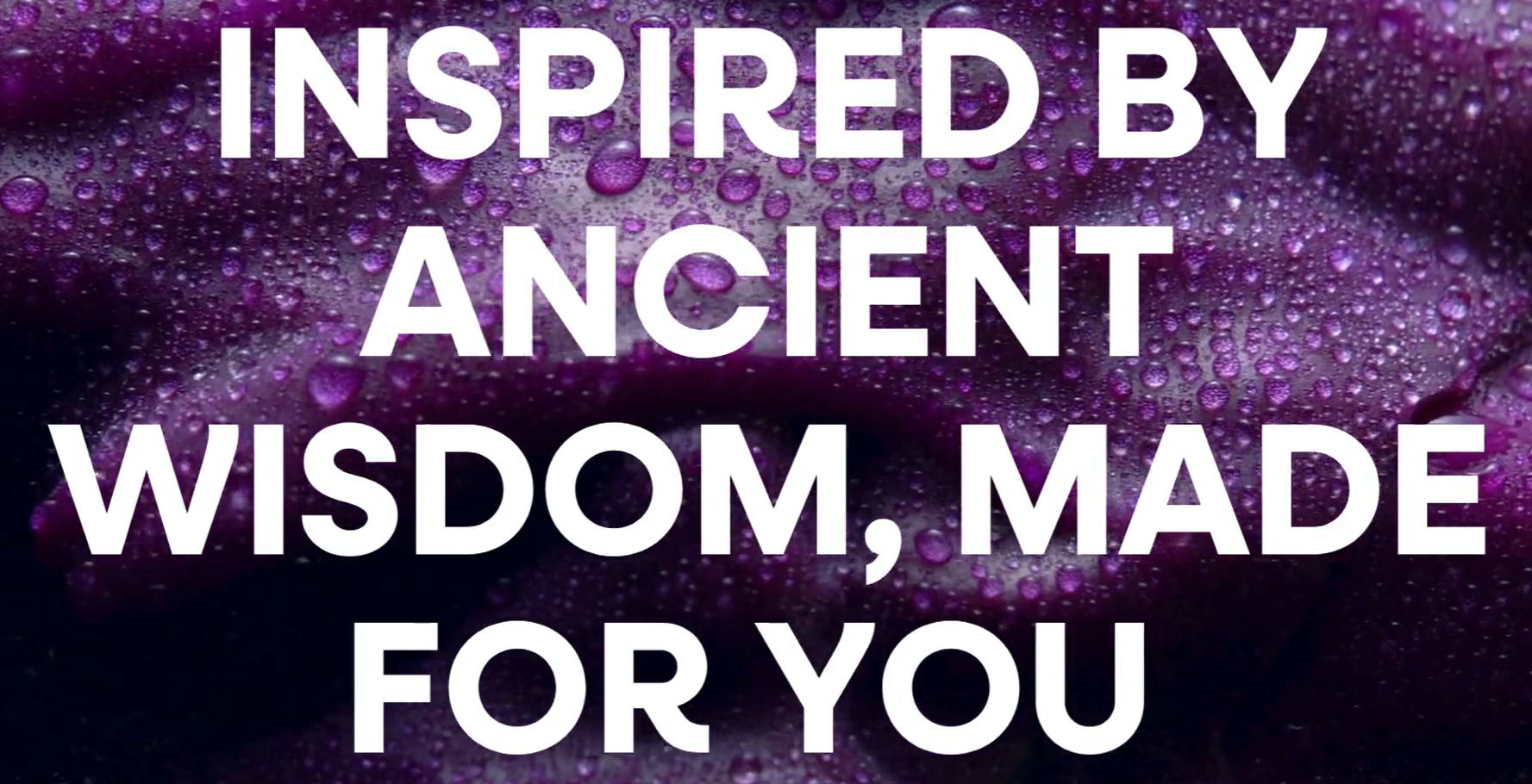 thumbnail video image 2 of Nature’s Way Sambucus Traditional Immune Elderberry Syrup, Black Elderberry Extract, Unisex, 8 Fl Oz, 2 of 9