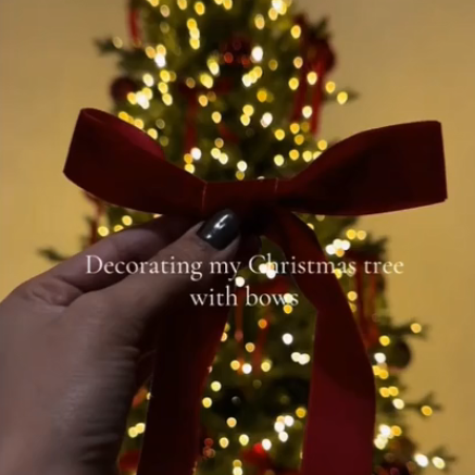 thumbnail video image 2 of ZhyrZng 12pcs Christmas Tree Decoration Velvet Bows, Colorful Big Velvet Ribbon Ornaments for Holiday Decorating Trees Wreaths Gifts Elegant Soft Velvet Material(Coffee), 2 of 7