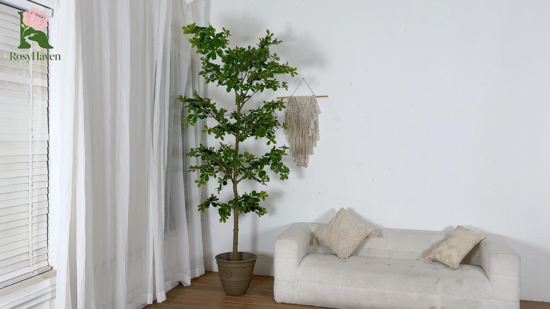 thumbnail video image 2 of RosyHaven 8ft Large Faux Black Olive Tree with Realistic Leaves and Trunks, 96"Tall Shady Lady Olive Tree, Artificial Black Olive Tree for Home Office Living Room Patio Dining Room Decor, 2 of 8
