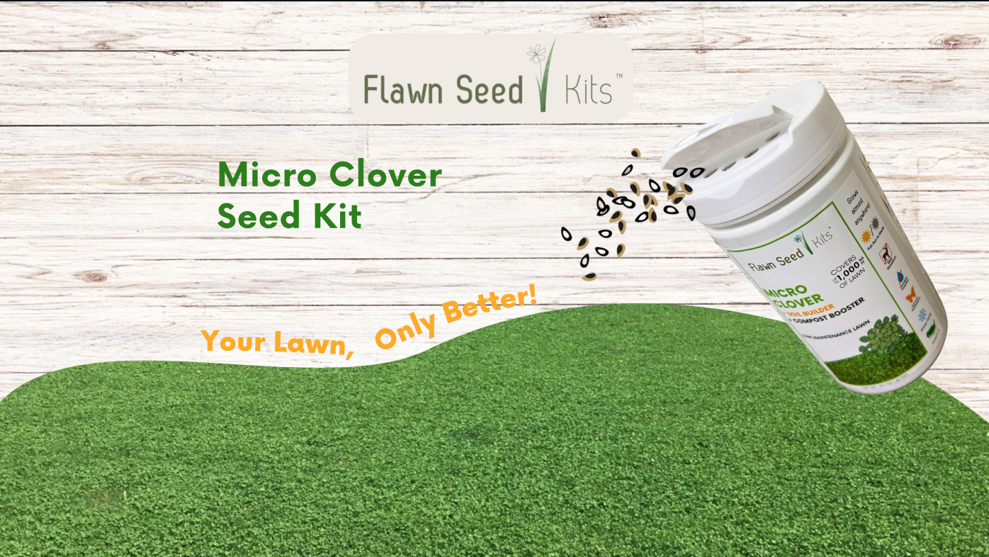thumbnail video image 2 of Flawn Seed Kits 1000 Sqft Micro Clover Flower Seeds, Perennial Ground Cover, 2 of 10