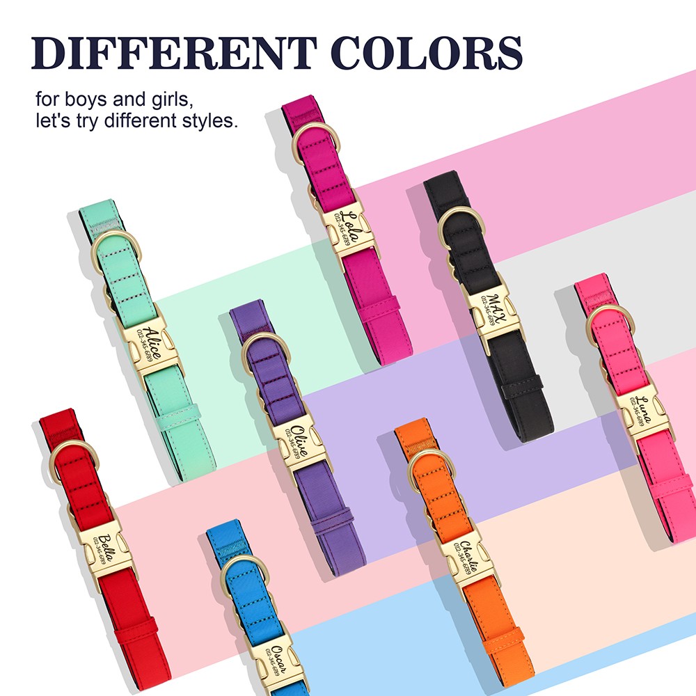 thumbnail video image 2 of Pet Artist Personalized Durable Nylon Dog Collars Soft Padded Waterproof Name Number Engraved Metal Buckle for Small/Medium/Large Breeds, 2 of 10