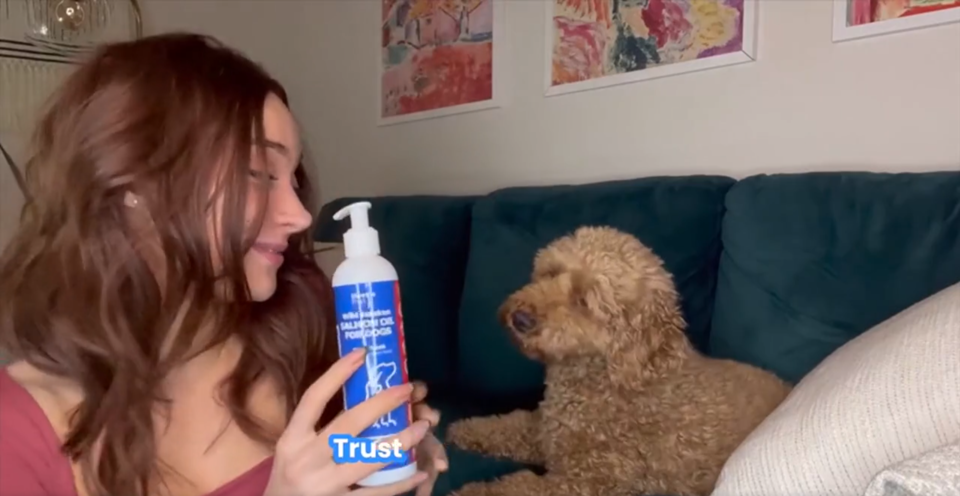 thumbnail video image 2 of Nuesta Pets Waterless No-Rinse Dog & Cat Shampoo, Unscented, Hypoallergenic, 8 fl oz, 2 of 8