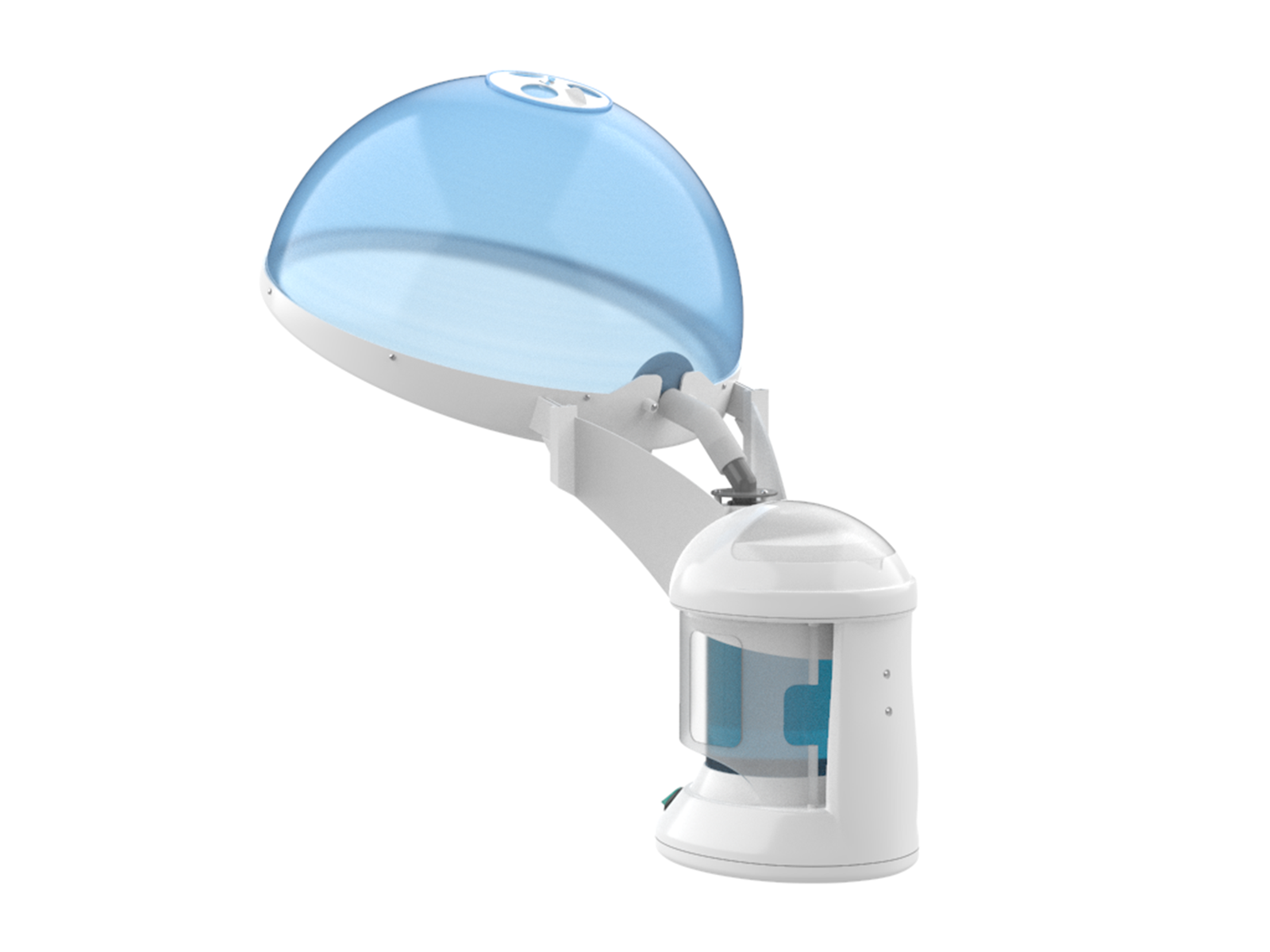 ZENSTYLE Professional 3 in 1 Mini Ozone Facial & Hair Steamer