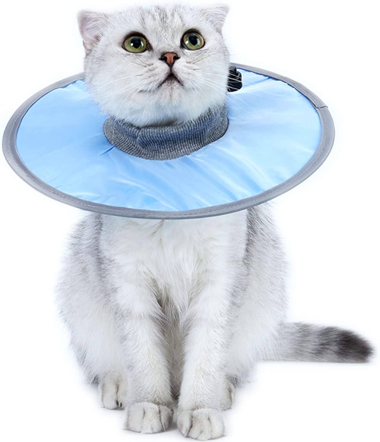 thumbnail video image 2 of Cat Recovery Collar,Waterproof Protective Cat Neck Cones to Stop Licking Wounds, Lightweight Kitten Cones After Surgery, 2 of 7