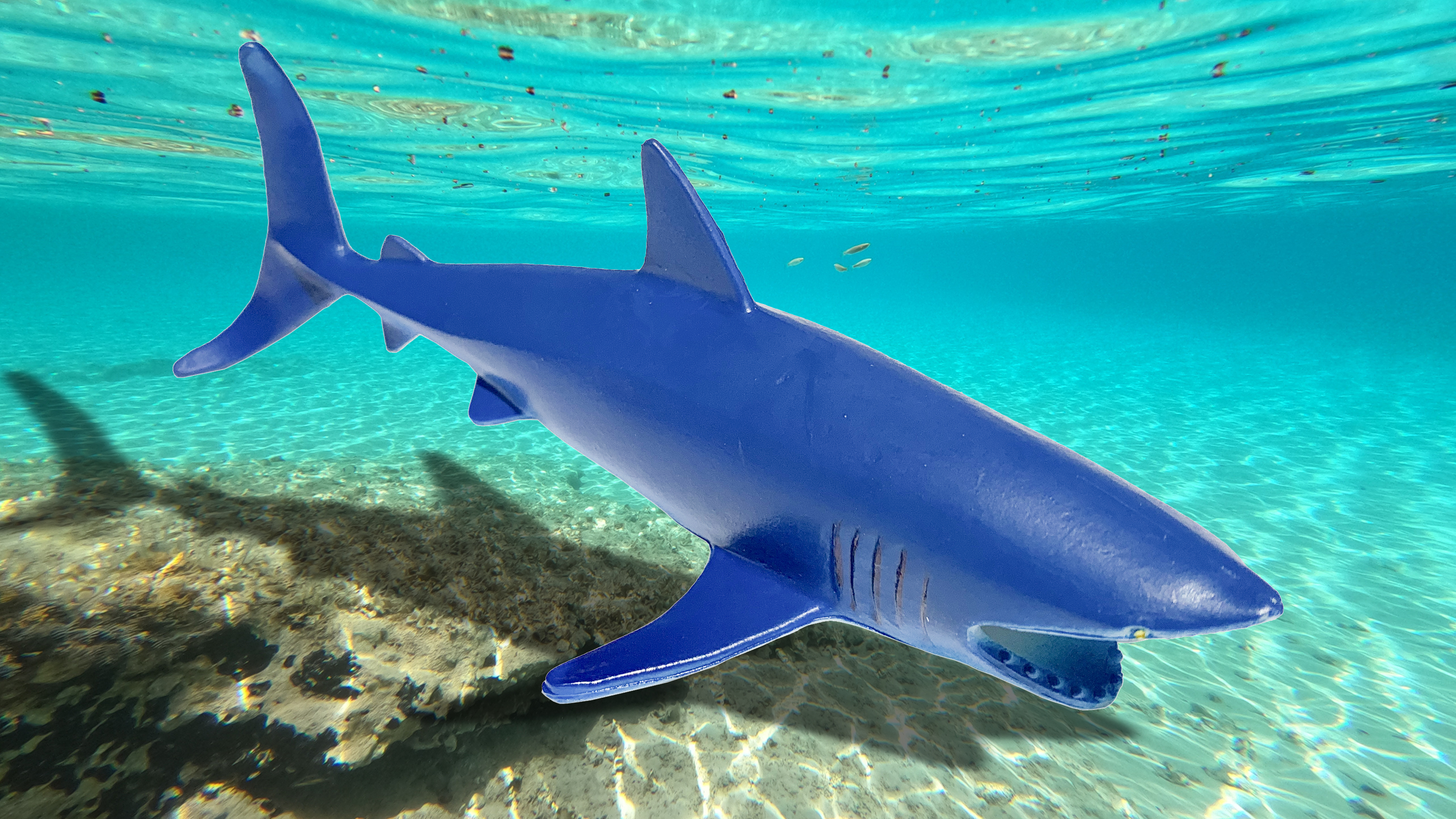 Plastic Sharks for Drinks - Great Shark Decor for Shark Parties