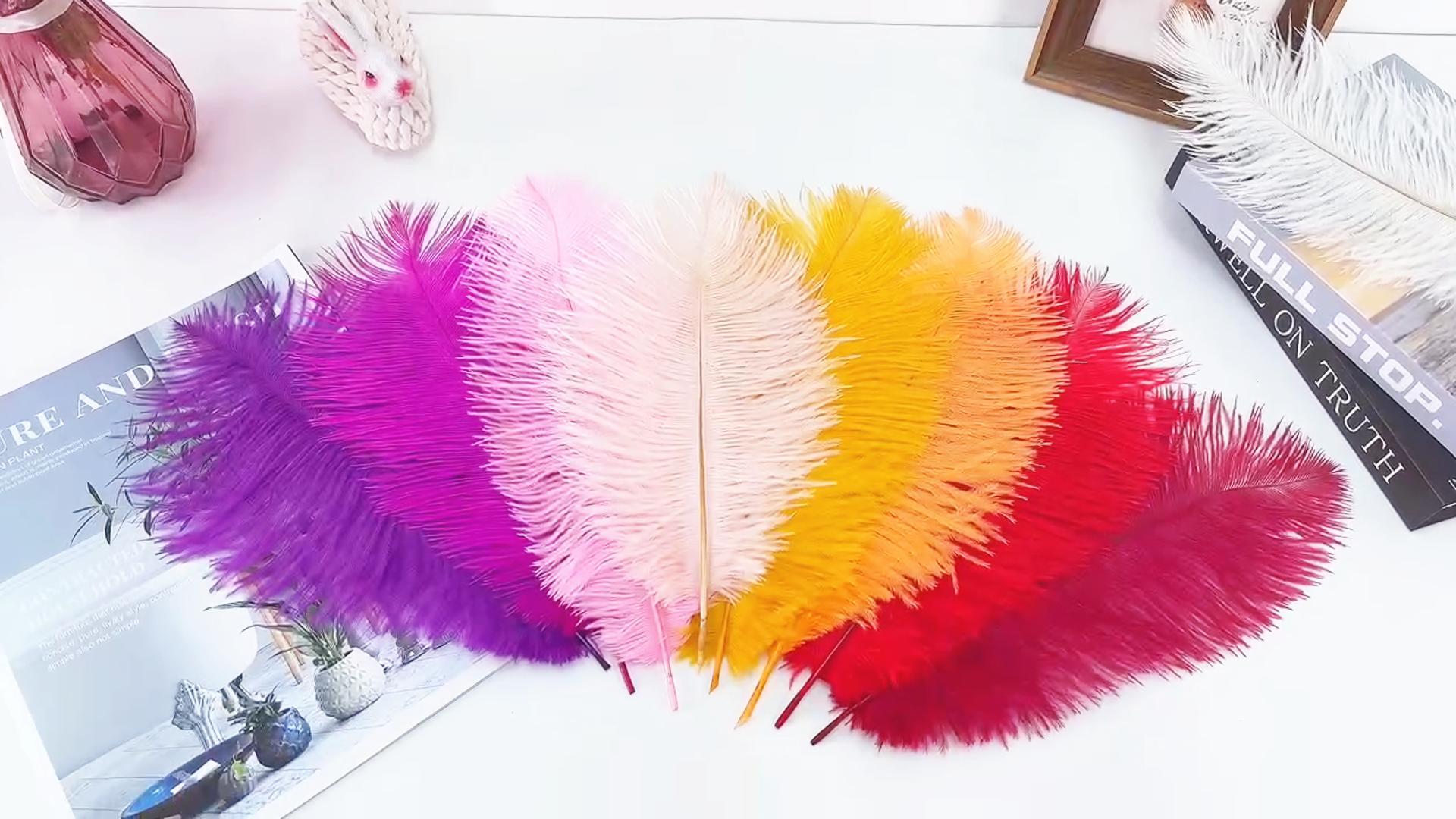 thumbnail video image 2 of 20 pcs Natural Black Ostrich Feathers Plumes 12-14 inch(30-35 cm) Bulk for and DIY Clothes Decoration, Gatsby Decorations, Wedding Party Centerpieces, 2 of 6