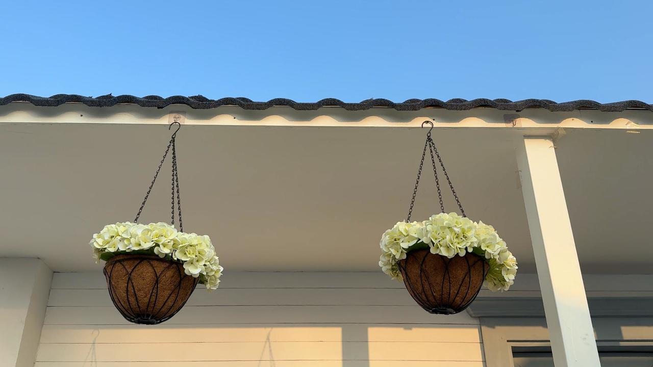 thumbnail video image 2 of RosyHaven 2Pack Real Touch Artificial Hanging Flowers for Outdoors with Hanging Basket,Beige Hydrangea Faux Flowers,Fake Hanging Flowers for Front Door Porch Patio Garden Room Decor, 2 of 10