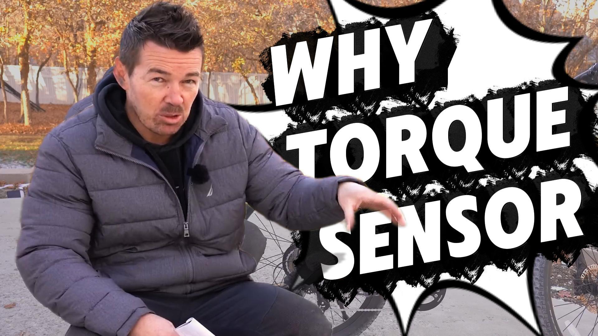 thumbnail video image 2 of HOVSCO Electric Bike for Adults, 500W Peak Motor 20mph, 48V/15Ah, E-Mountain bicycle, UL2849, APP Control, 2 of 9