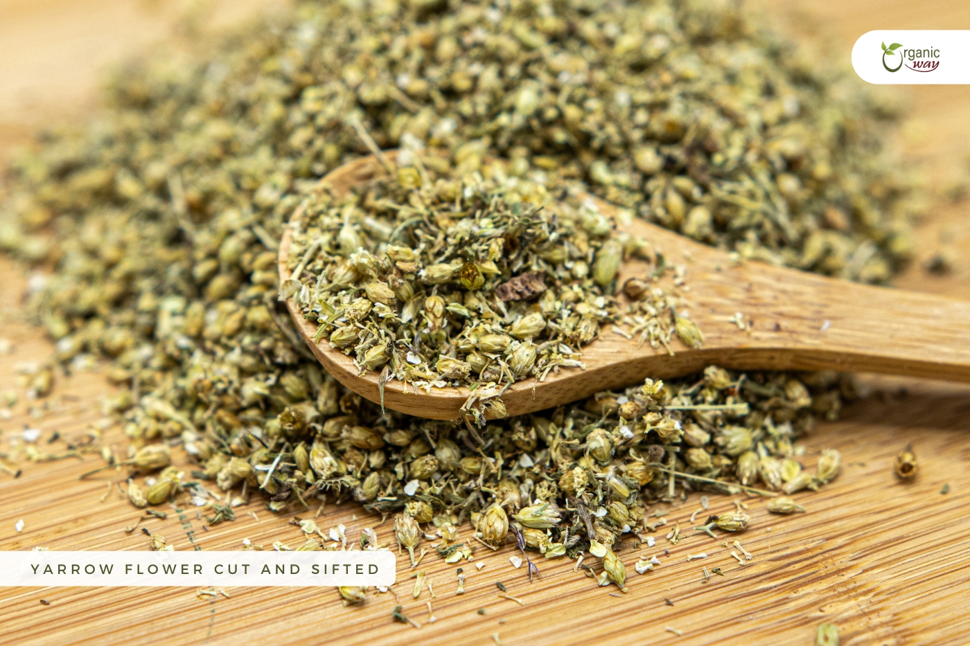 thumbnail video image 2 of Organic Way Yarrow Flower Cut & Sifted (Achillea millefolium) - Herbal Tea | European Wild-Harvest | Kosher & USDA Certified | Vegan, Non-GMO & Gluten Free | 100% Raw from Albania (1LBS / 16Oz.), 2 of 6